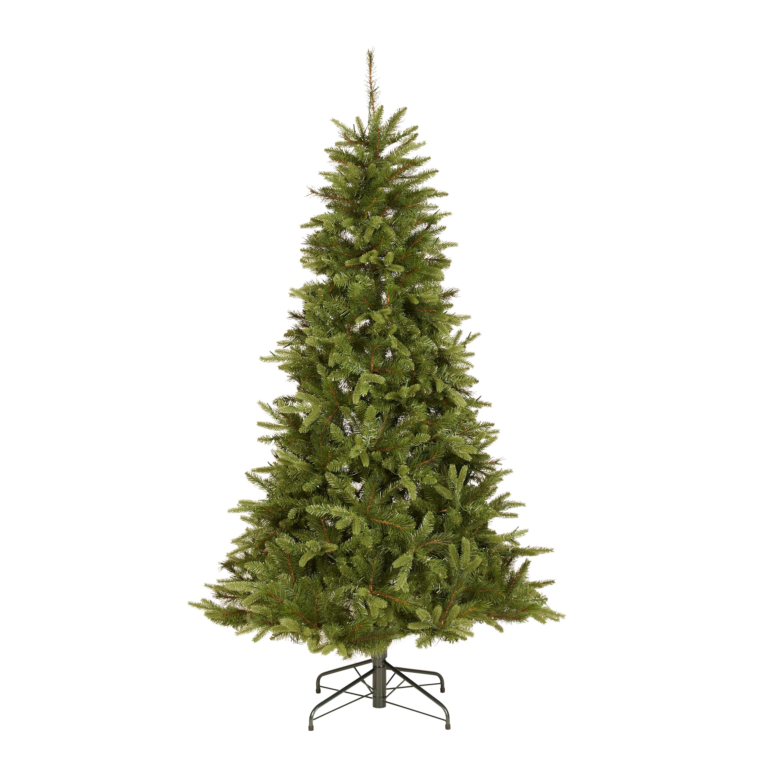 Christmas Tree-To-Be Spruce Grow Kit