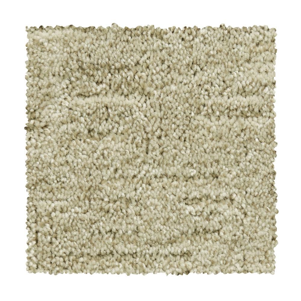 STAINMASTER S1077765LINEN-2496 (Sample) Essentials First Class Linen Pattern Carpet