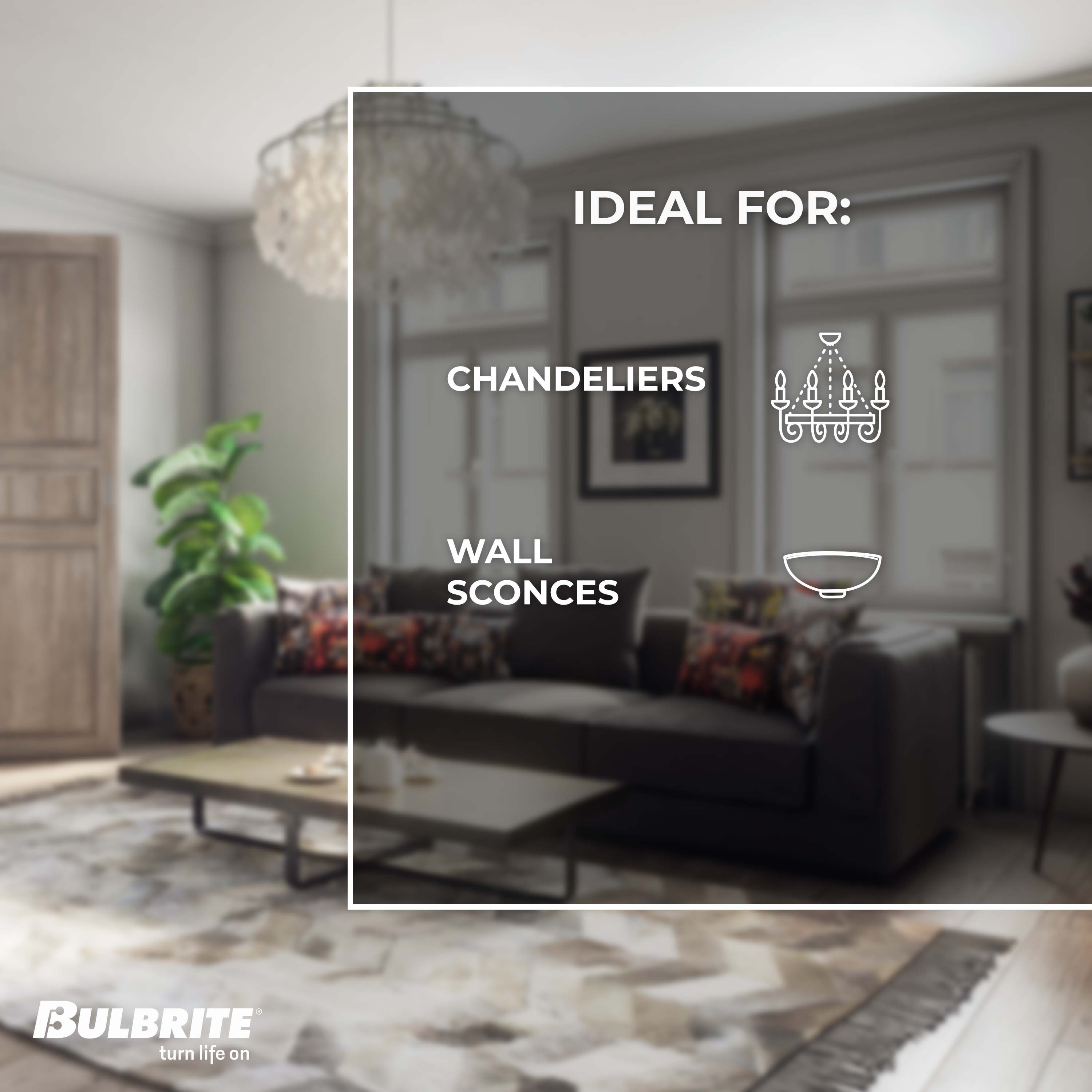 Bulbrite 862780 Dec-Led-Light-Bulbs - View #5