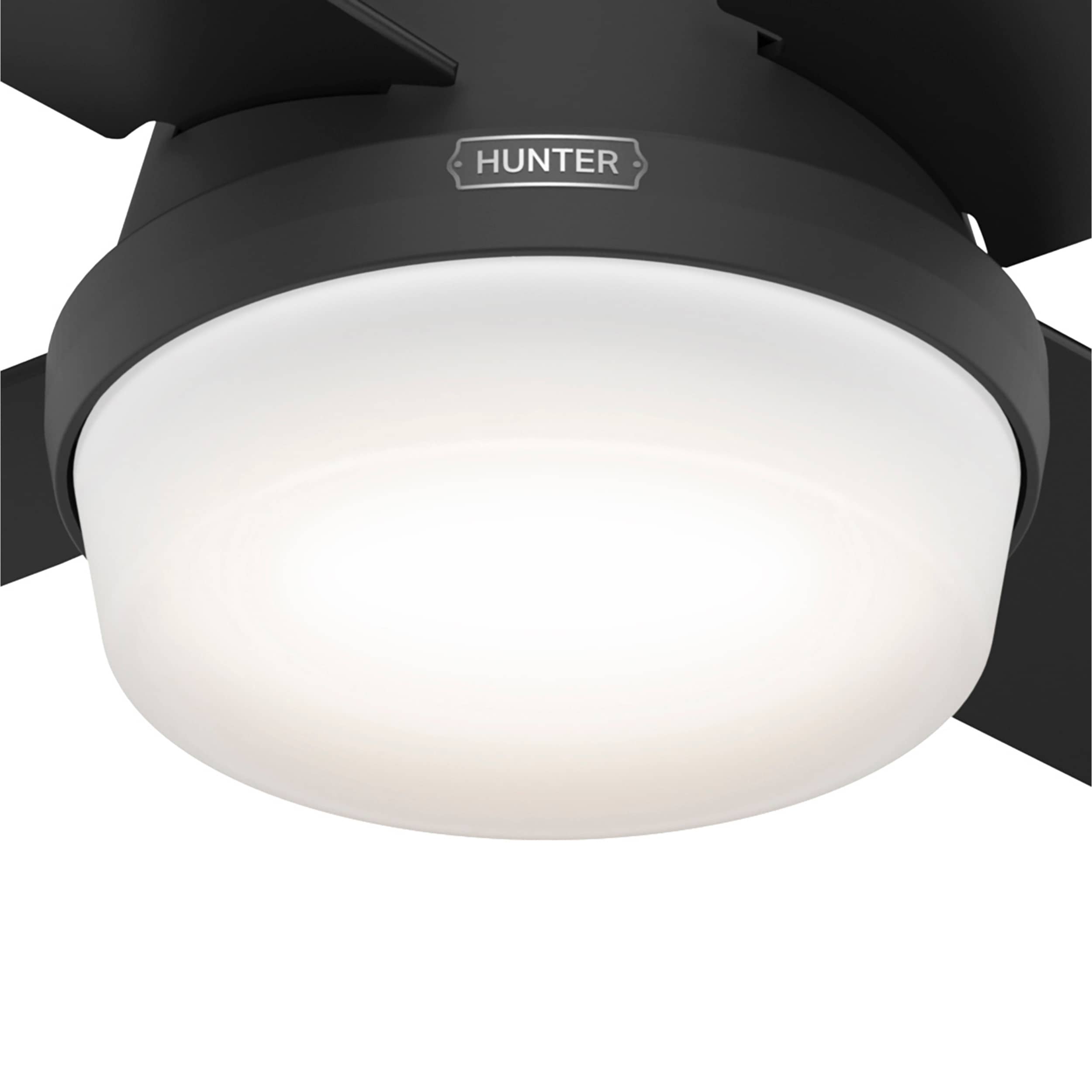 Hunter 52390 Ceiling-Fans - View #12