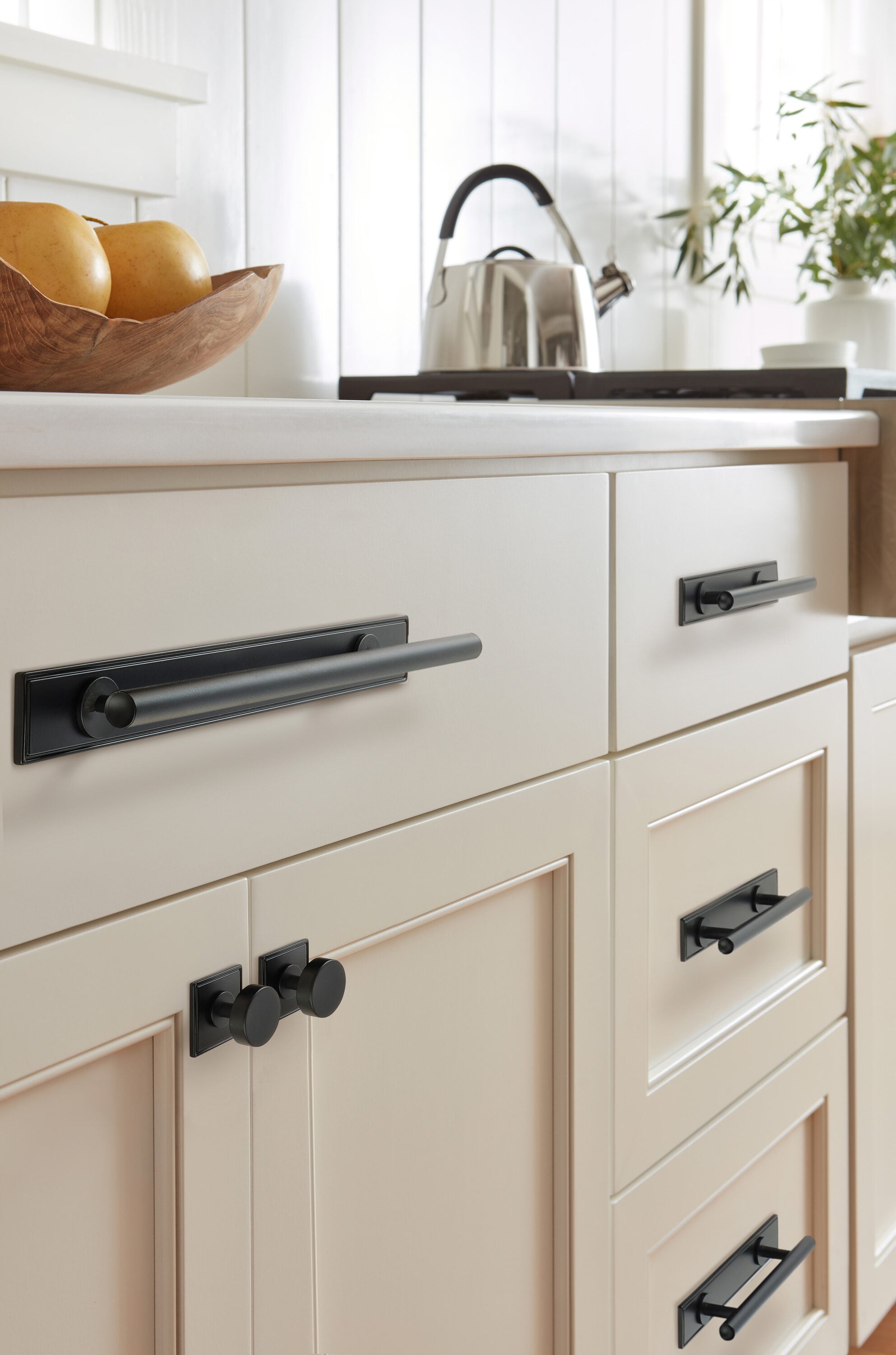 Amerock BP37600MB backplates - View #2