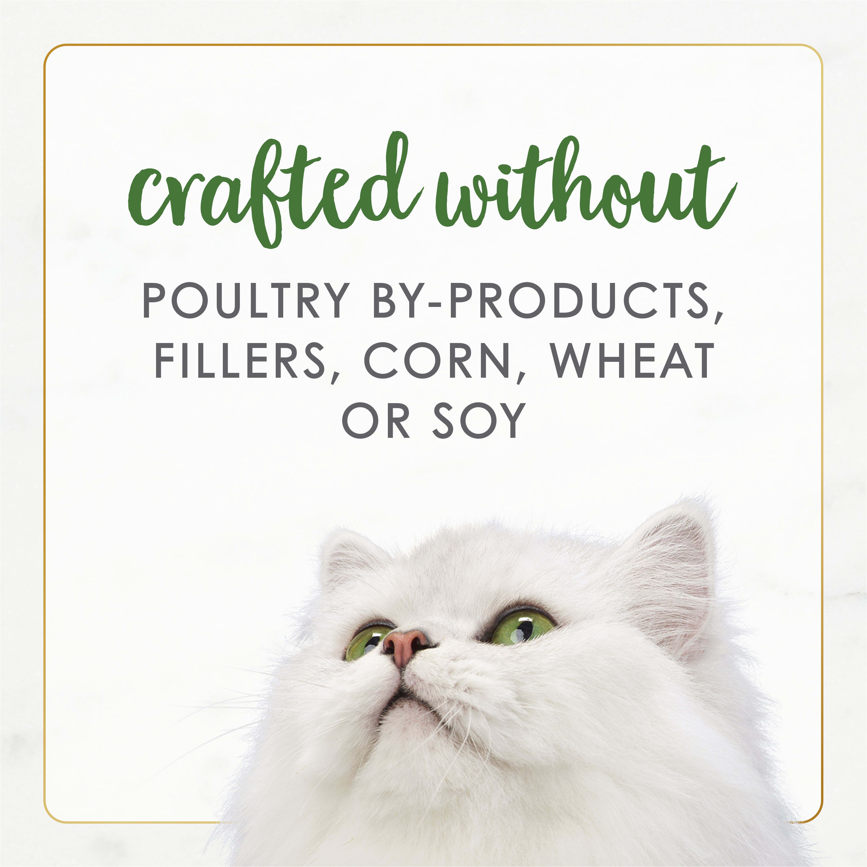 Fancy Feast 005000050033 Wet-Dog-Food - View #7