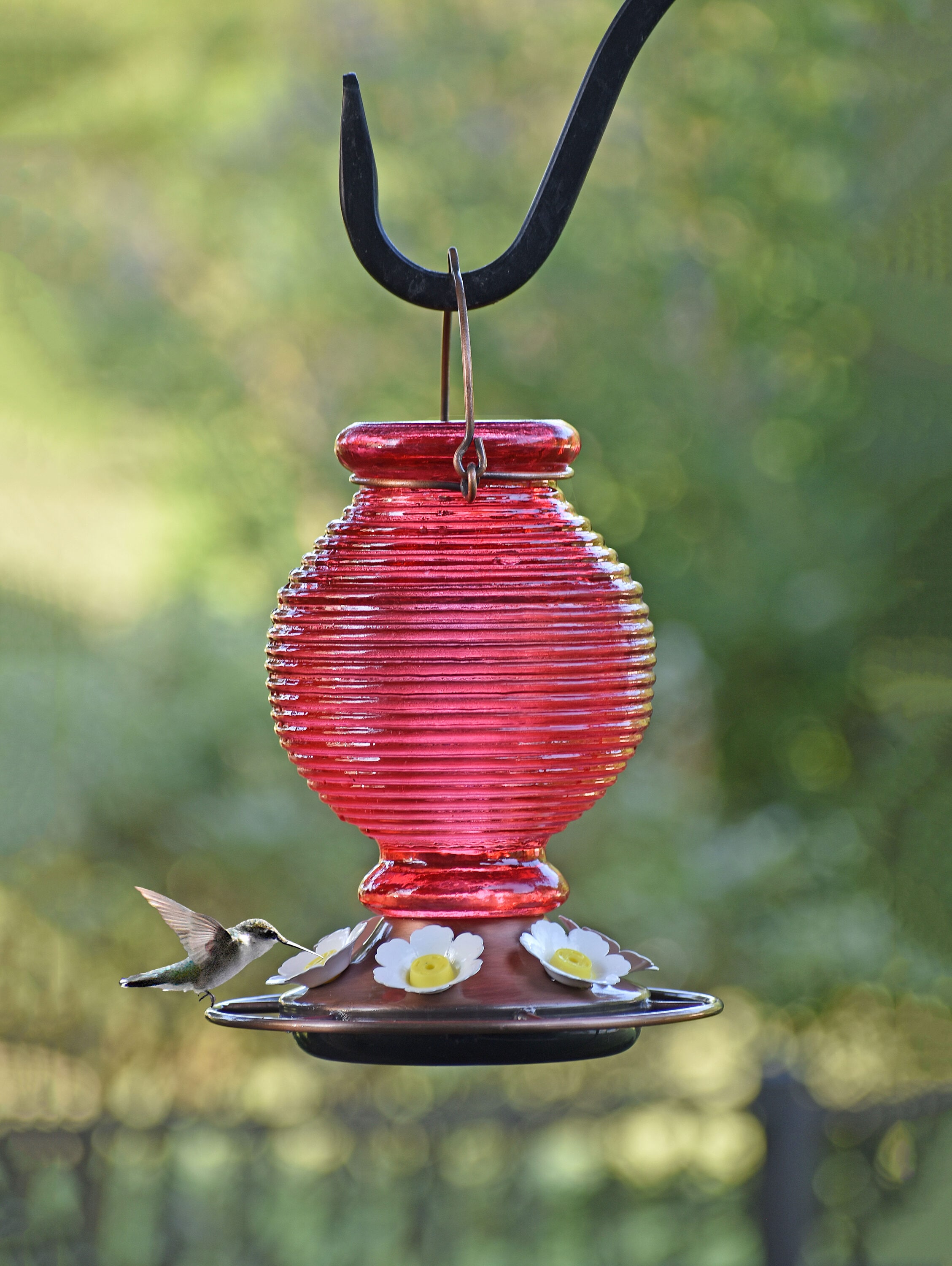 Style Selections 01-1207-30-15 Bird-Feeders - View #6