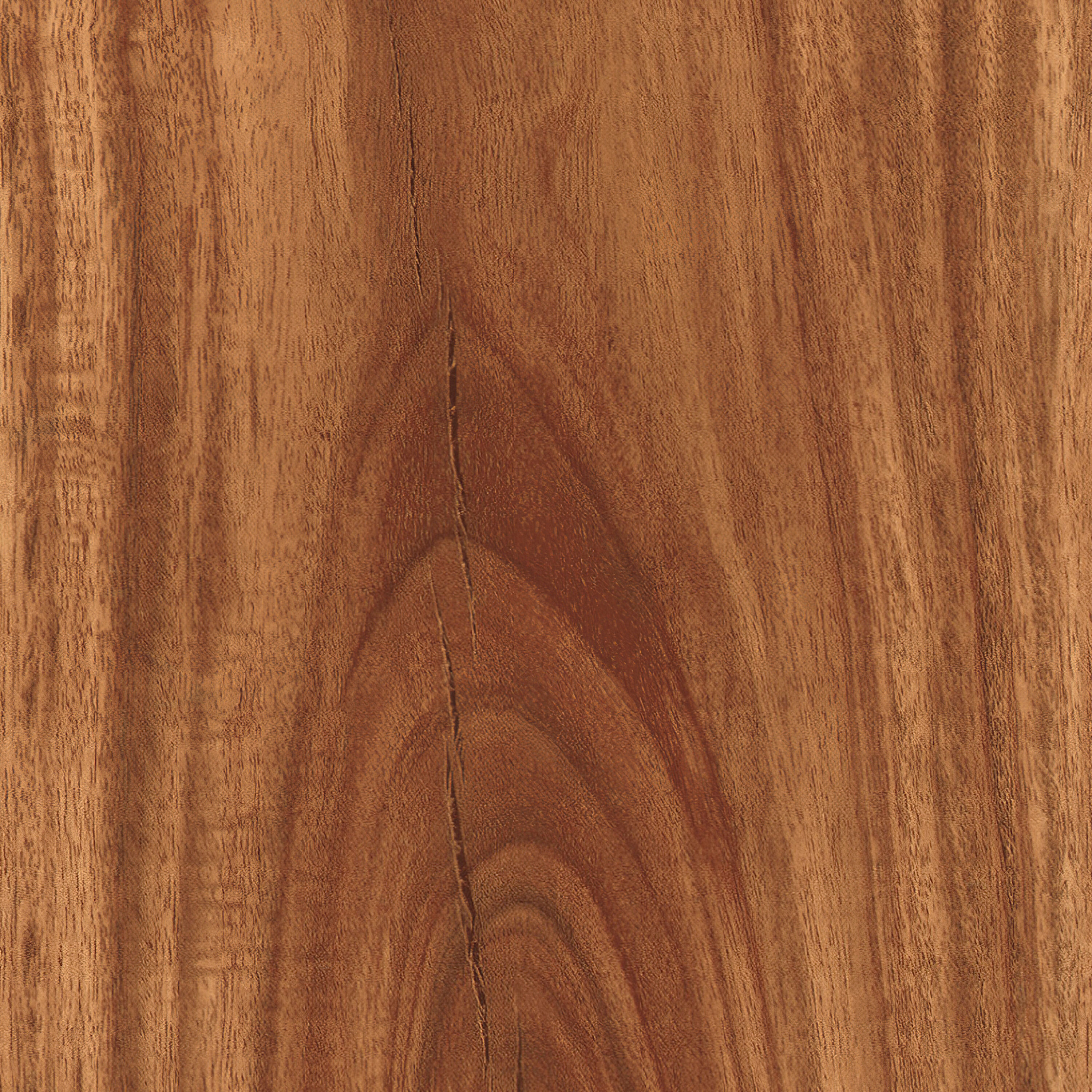 CALI 7904501423 Floor-Moulding - View #3