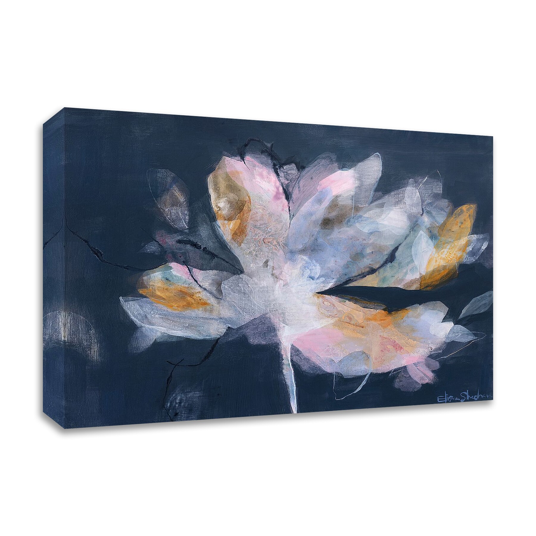 Tangletown Fine Art 8S1780DC-3024 Frameless 24-in H x 30-in W Abstract Canvas Print