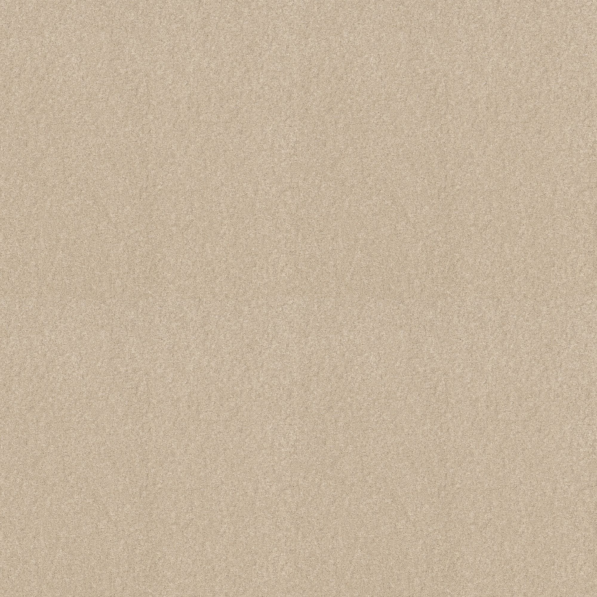 STAINMASTER PetProtect 7L882 - 102 - SAMP (Sample) Best of Breed II Classic Buff Off-white 58.5-oz sq yard Nylon Textured Indoor Carpet