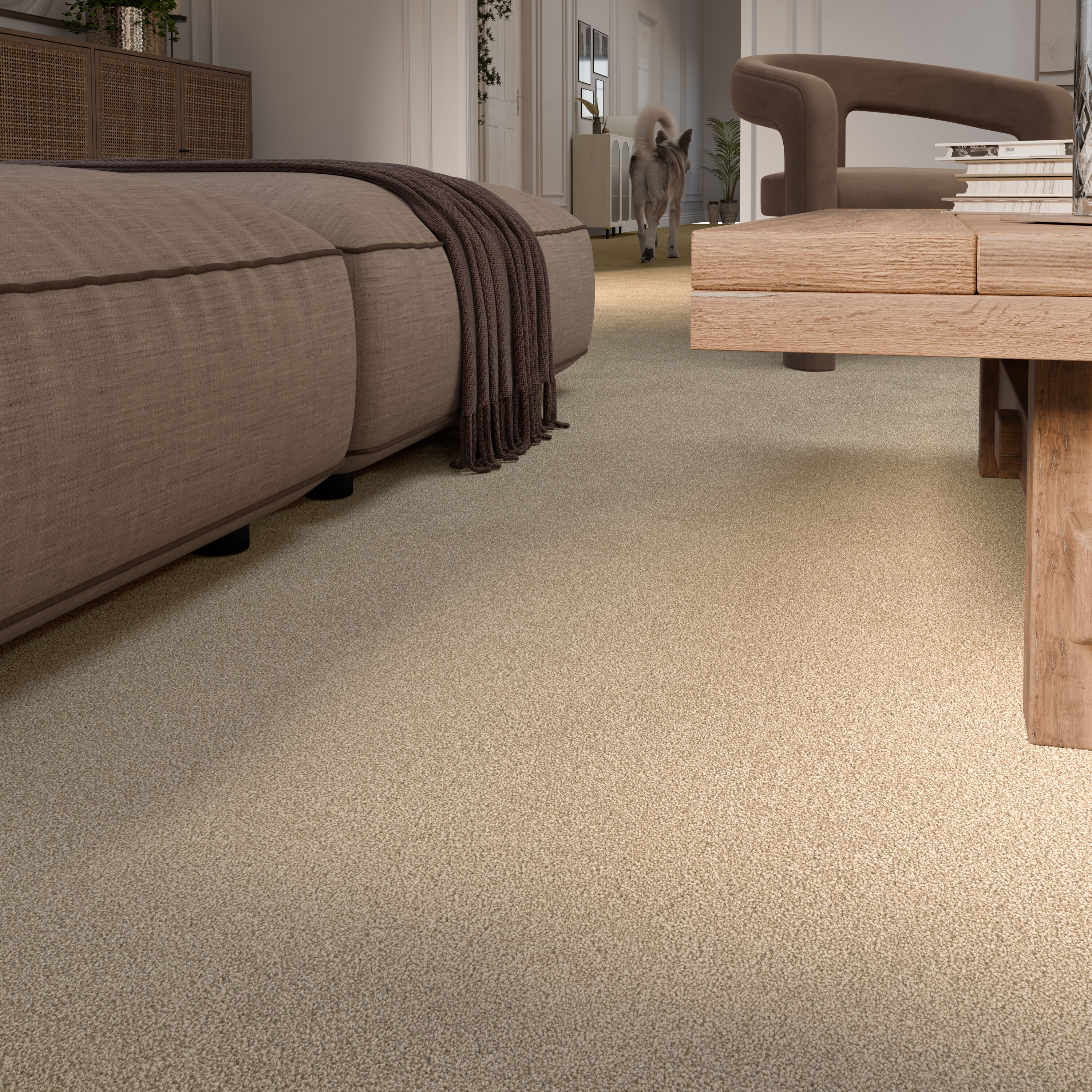 STAINMASTER PetProtect 7L97100102 Carpet-Panel - View #8