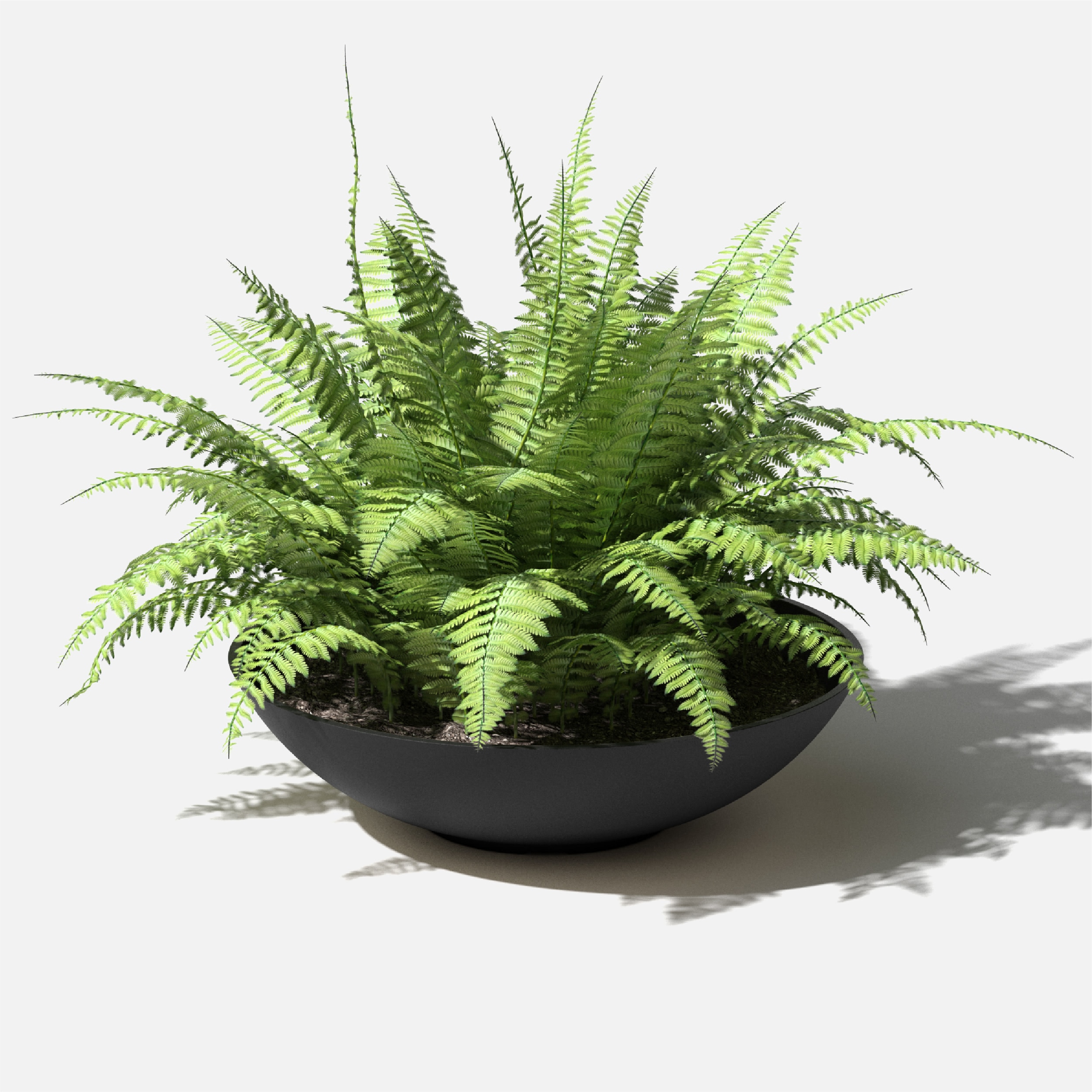 Veradek LBV24B Planter-Window-Box - View #6