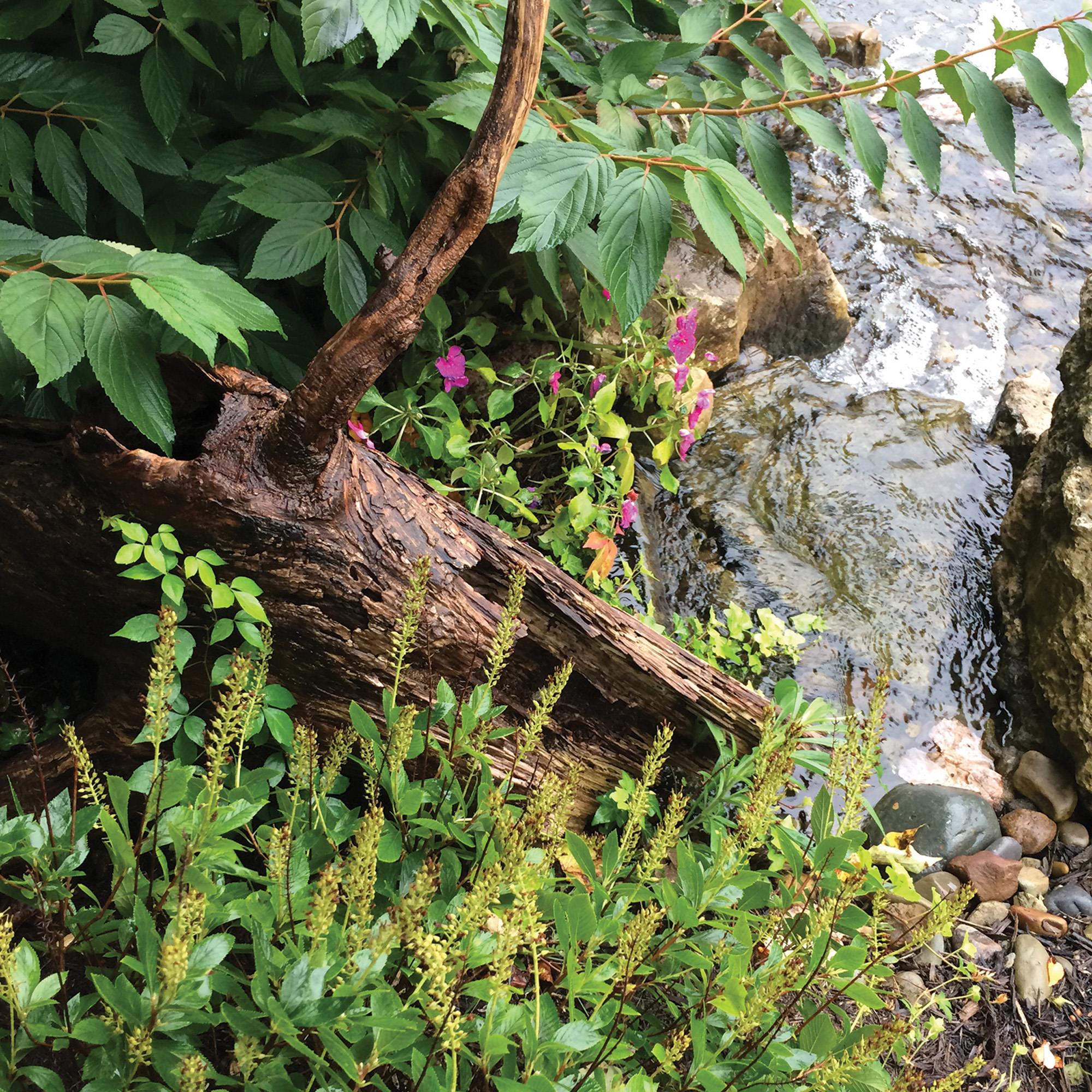 Atlantic 74271 Pond-Accessories - View #4