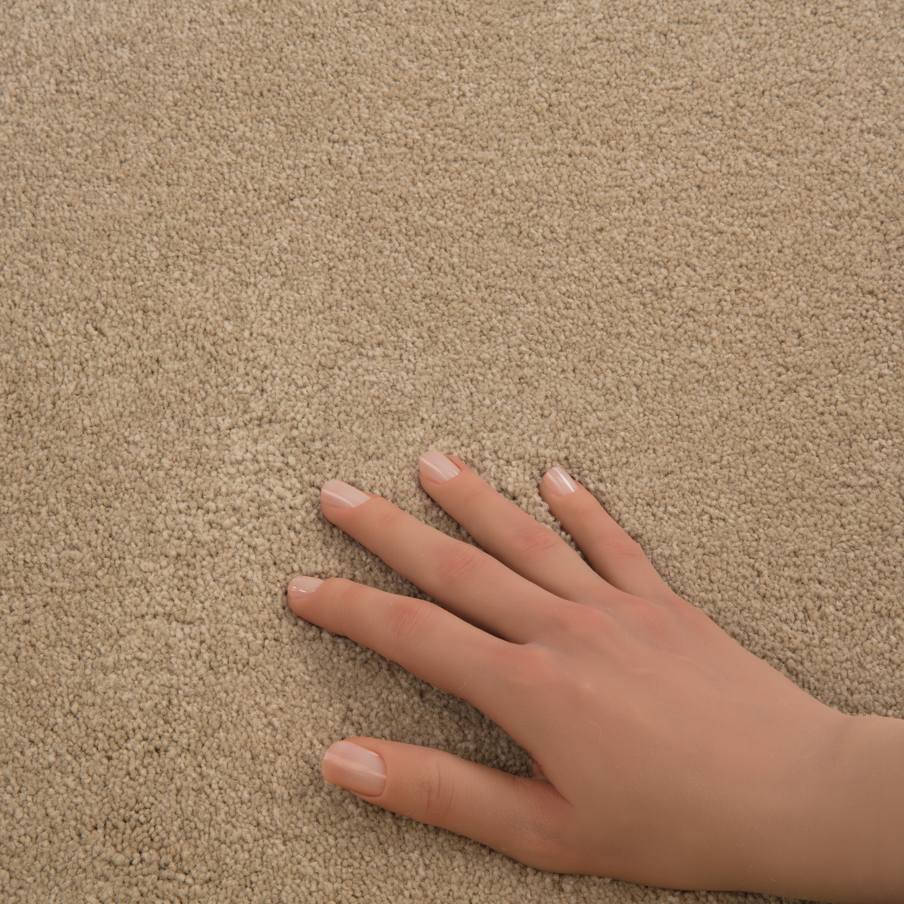 STAINMASTER PetProtect 7L883 - 110 - SAMP Carpet-Samples - View #5