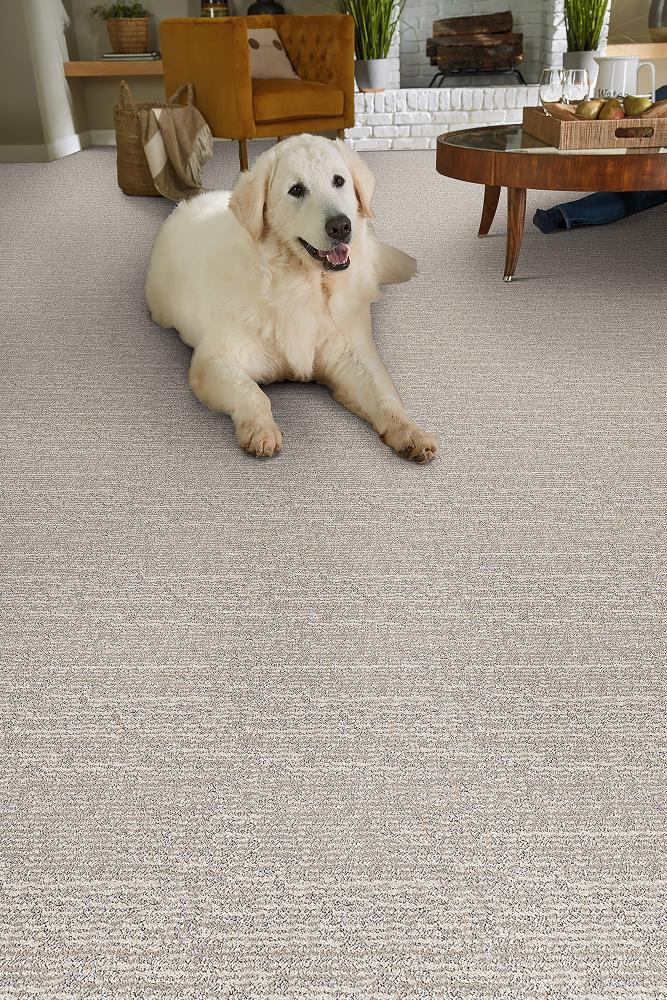STAINMASTER DL017-111 Carpet-Panel - View #2