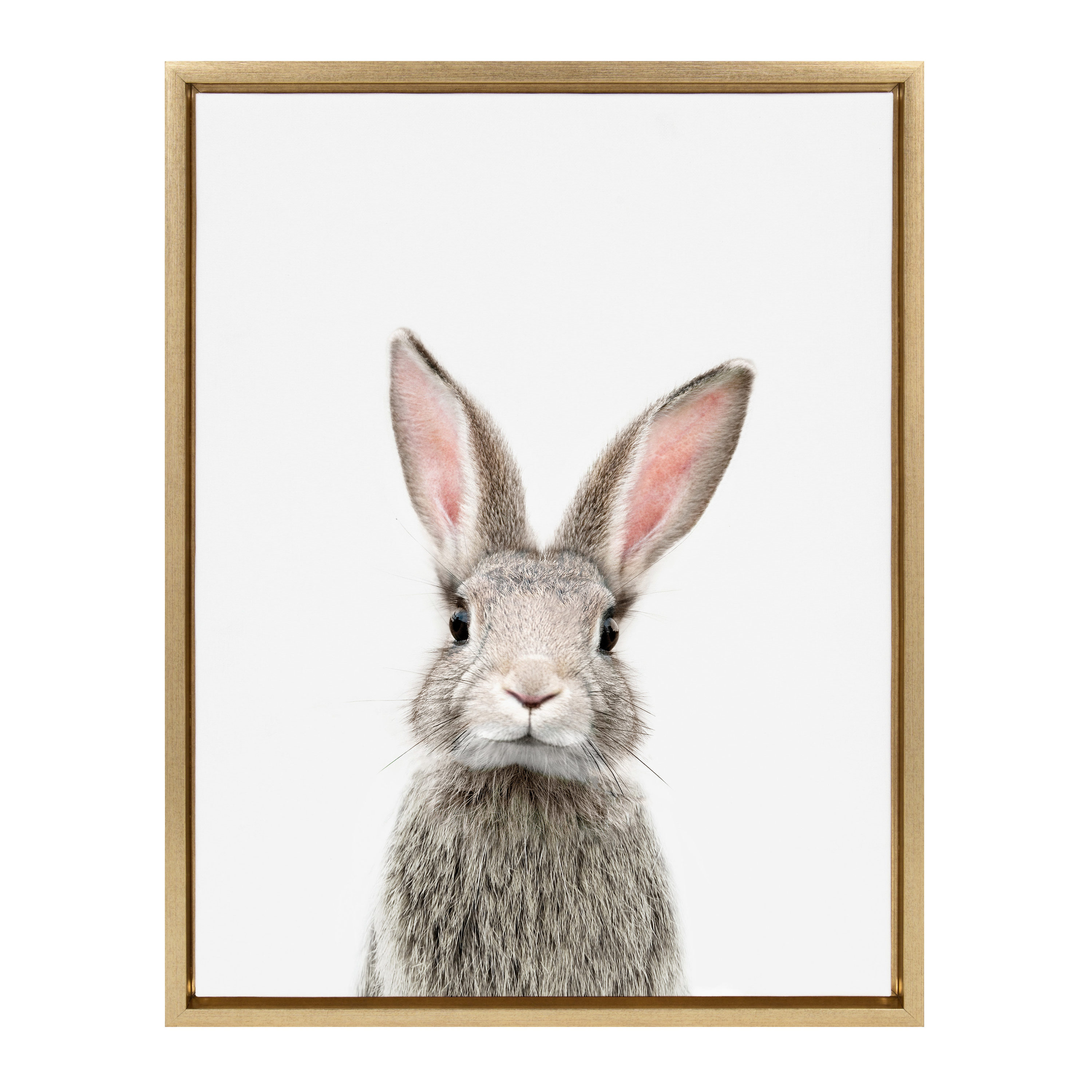 Kate and Laurel Sylvie Female Rabbit Framed Canvas Wall Art by Amy Peterson 18x24 Gold Baby Animal Home Decor