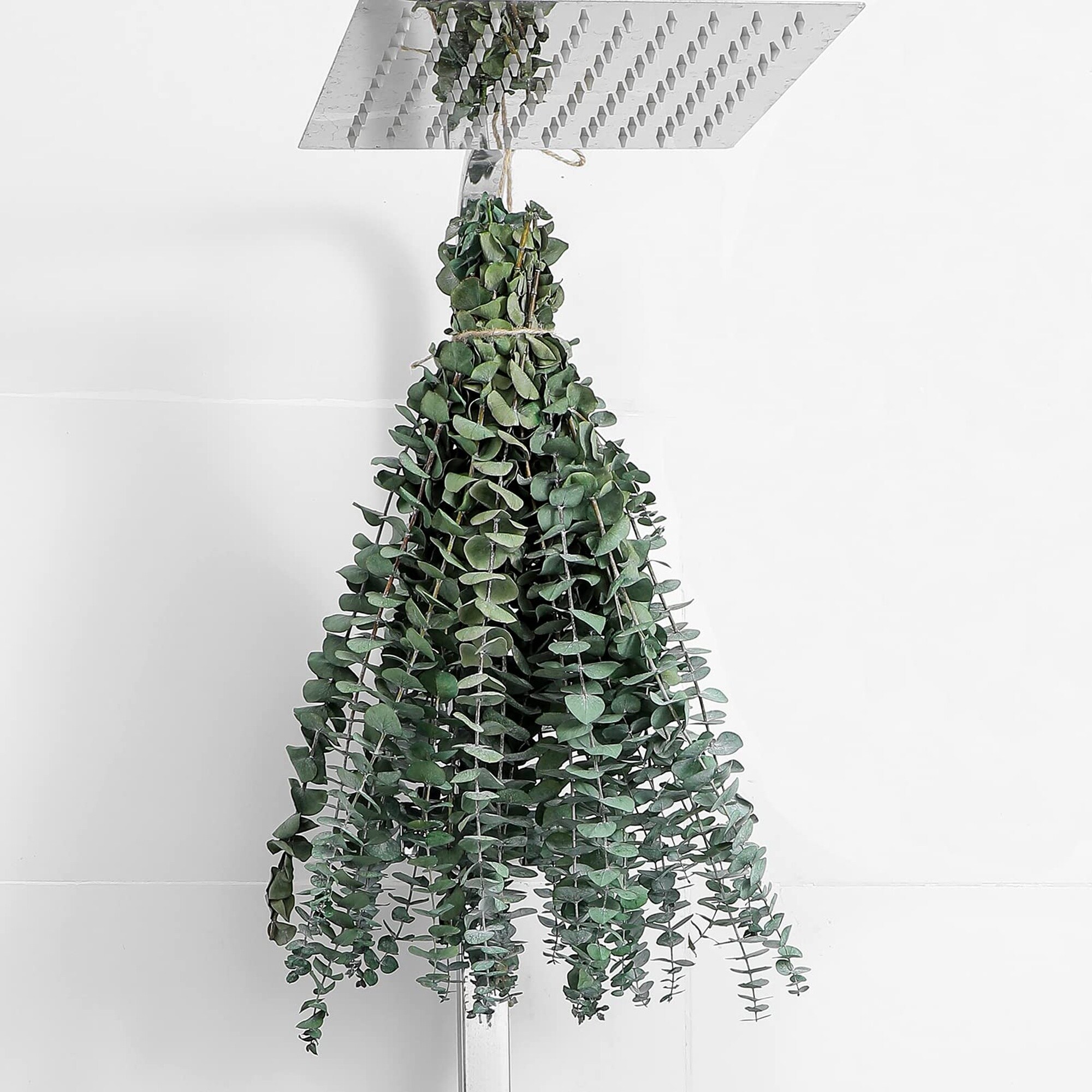 Wudkey 12 Pack 17in Dried Eucalyptus Stems Natural Green Shower Hanging Decor for Home Wedding and DIY Decoration