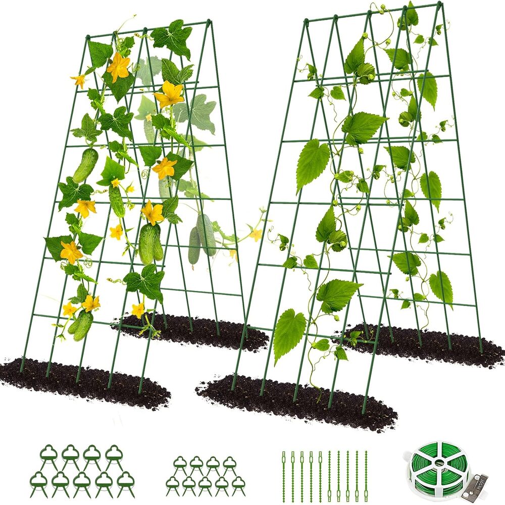 Esazn I1322308-WT-T Garden Trellis 15.75-in W x 39.37-in H Green Steel Garden Trellis For Climbing Plants For Cucumbers For Roses For Tomatoes