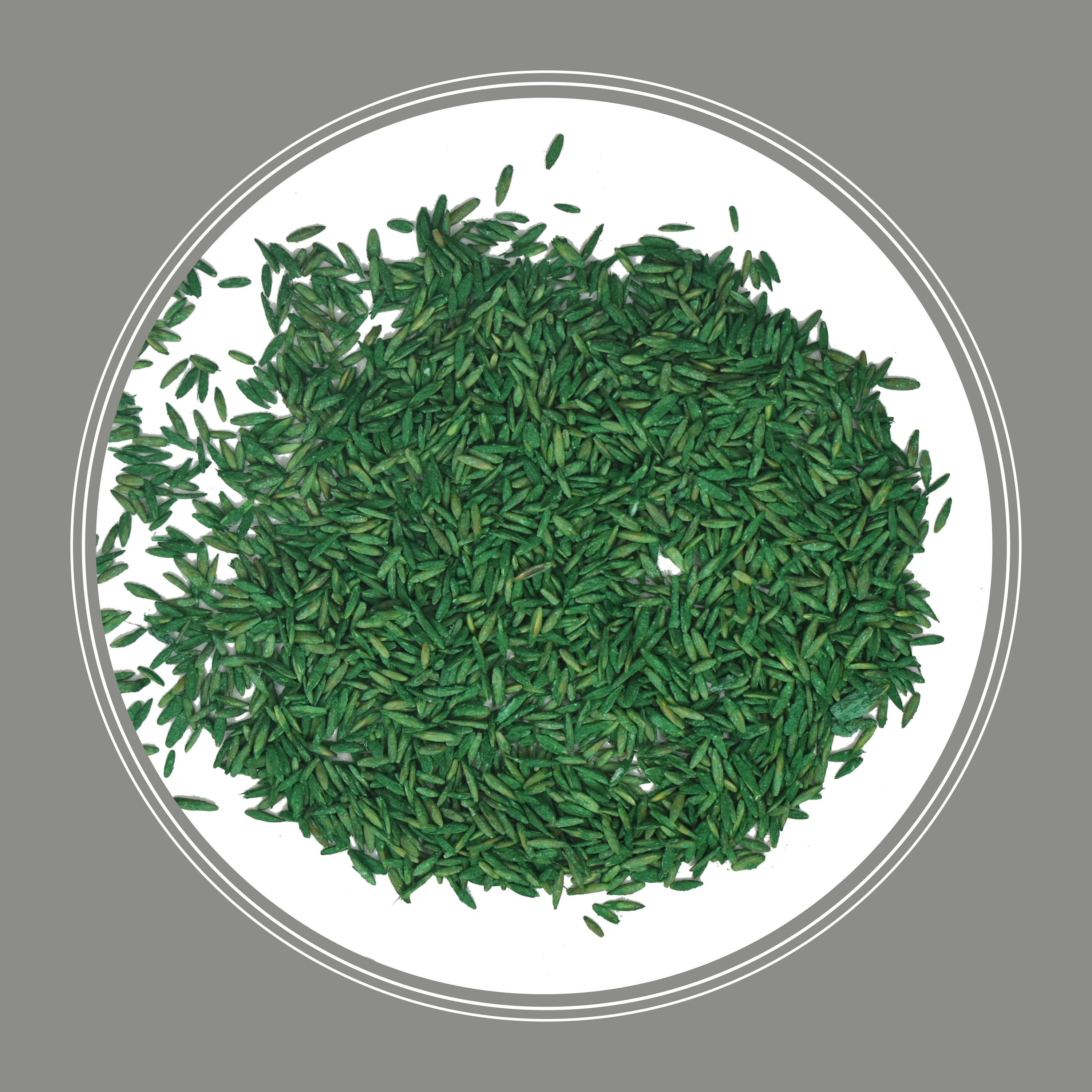 Pennington 2149601478 Grass-Seed - View #3