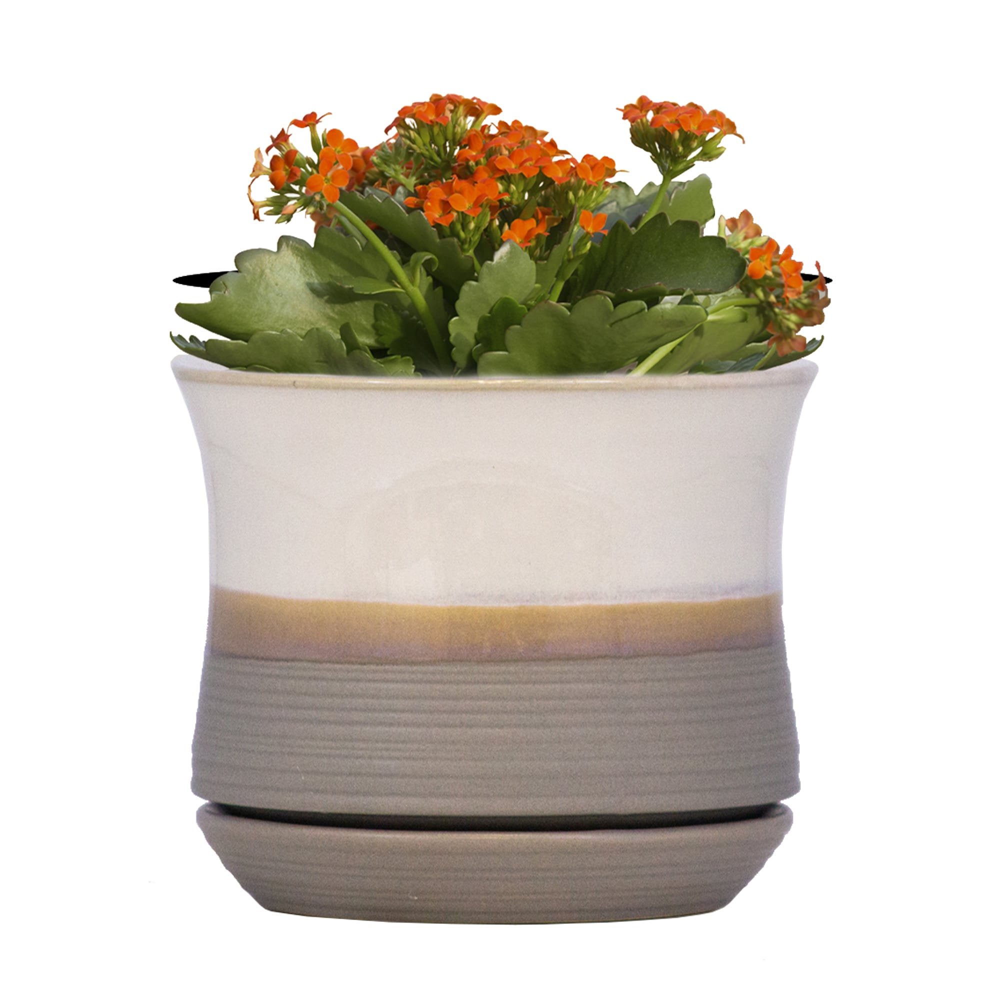 allen + roth 5.91-in x 5-in Khaki Ceramic Planter with Drainage Holes ...