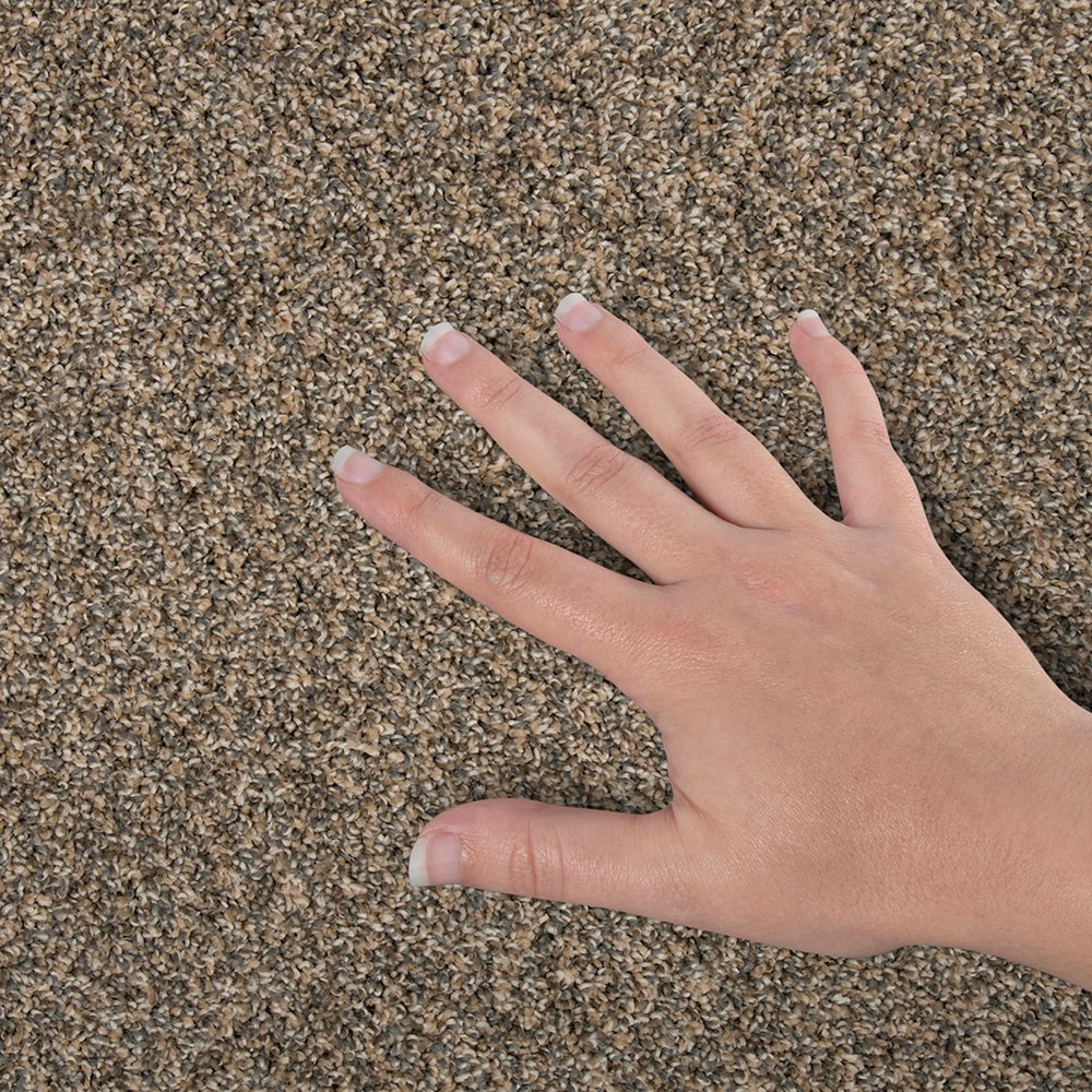 STAINMASTER SS034-12-L006 Carpet-Panel - View #4