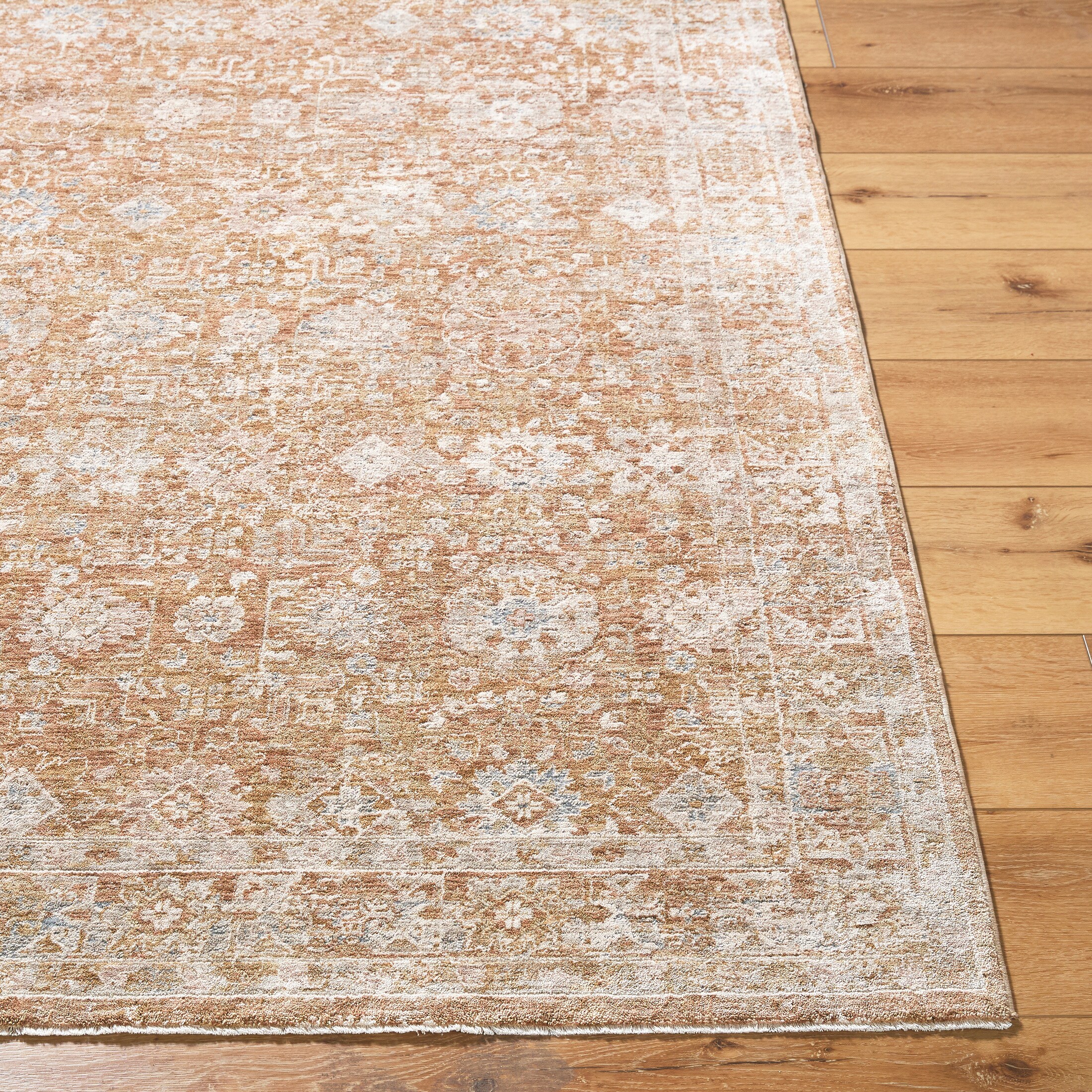 Livabliss DVC2305-575 rugs - View #3