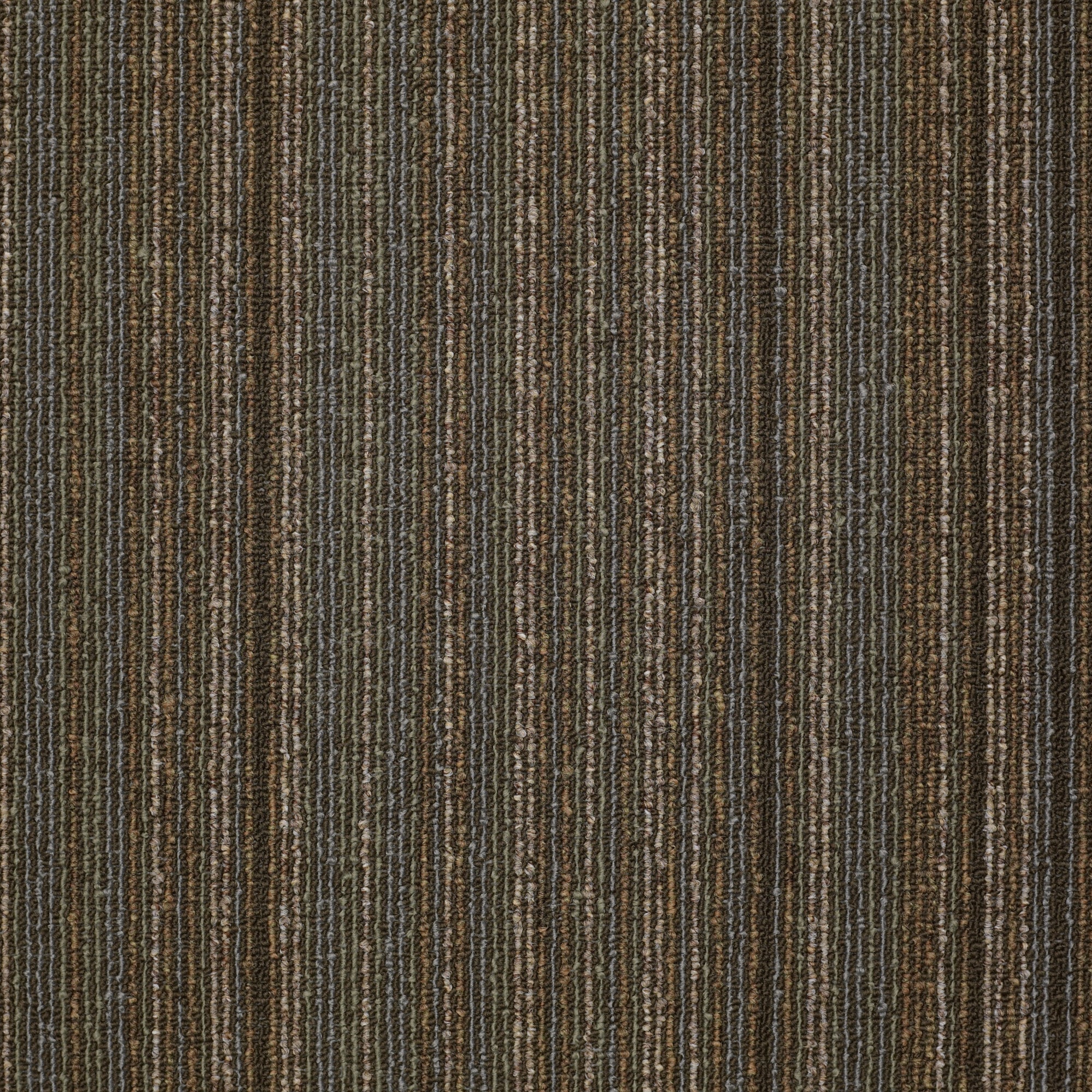 Shaw 7P0VA00790 Vigorous 24-in x 24-in Influential Brown Commercial Adhesive Indoor Carpet Tile ( 48-Sq. Feet )