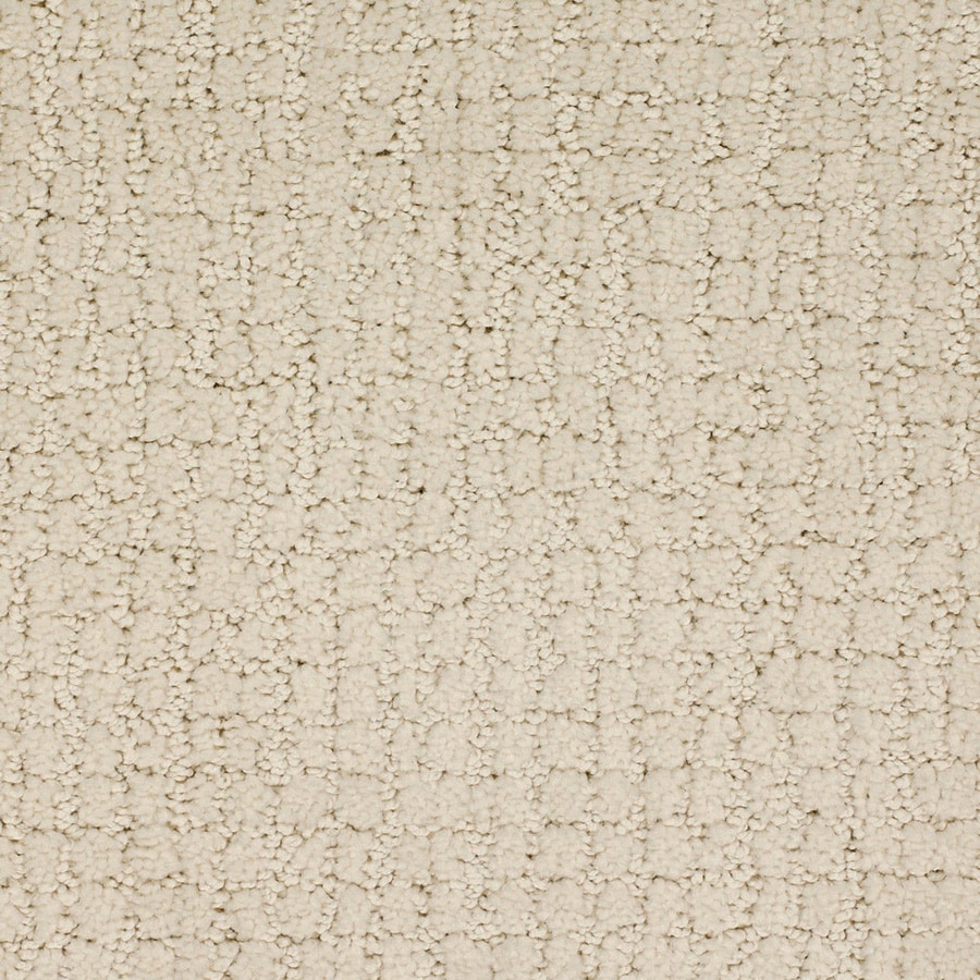 STAINMASTER 2416-107 Signature Perpetual Venetian Pattern Indoor Carpet