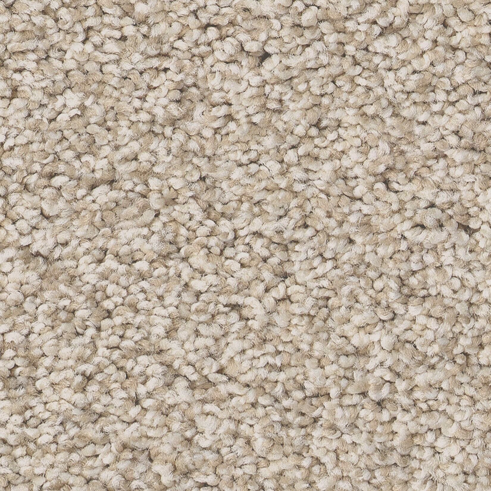 STAINMASTER PetProtect 7L88000123 Ready 2 Play III Finn Off-white 73.1-oz sq yard Nylon Textured Indoor Carpet