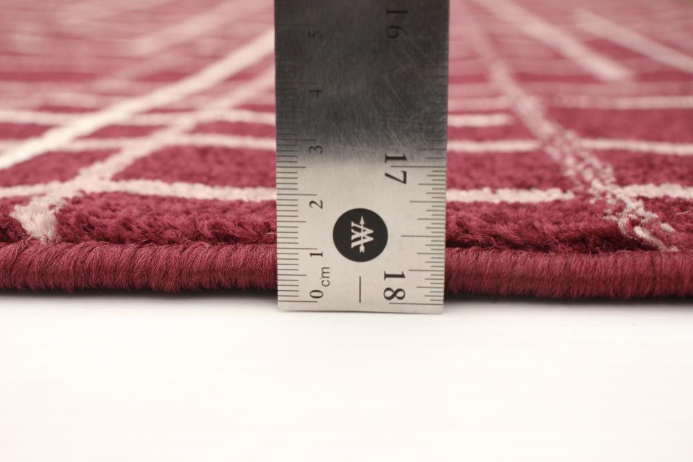 ECARPETGALLERY 315513 rugs - View #6