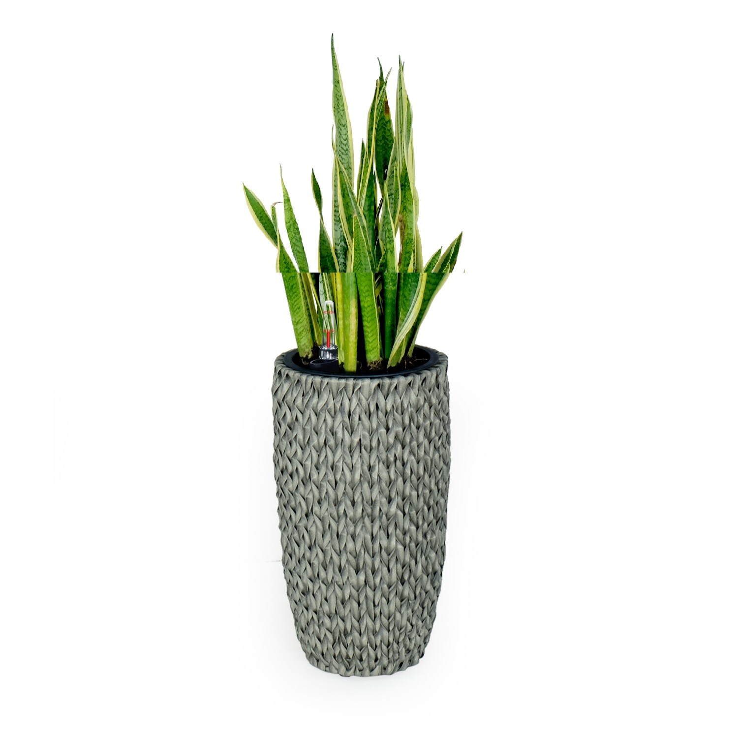 Siavonce XH44655 Planter-Window-Box - View #3