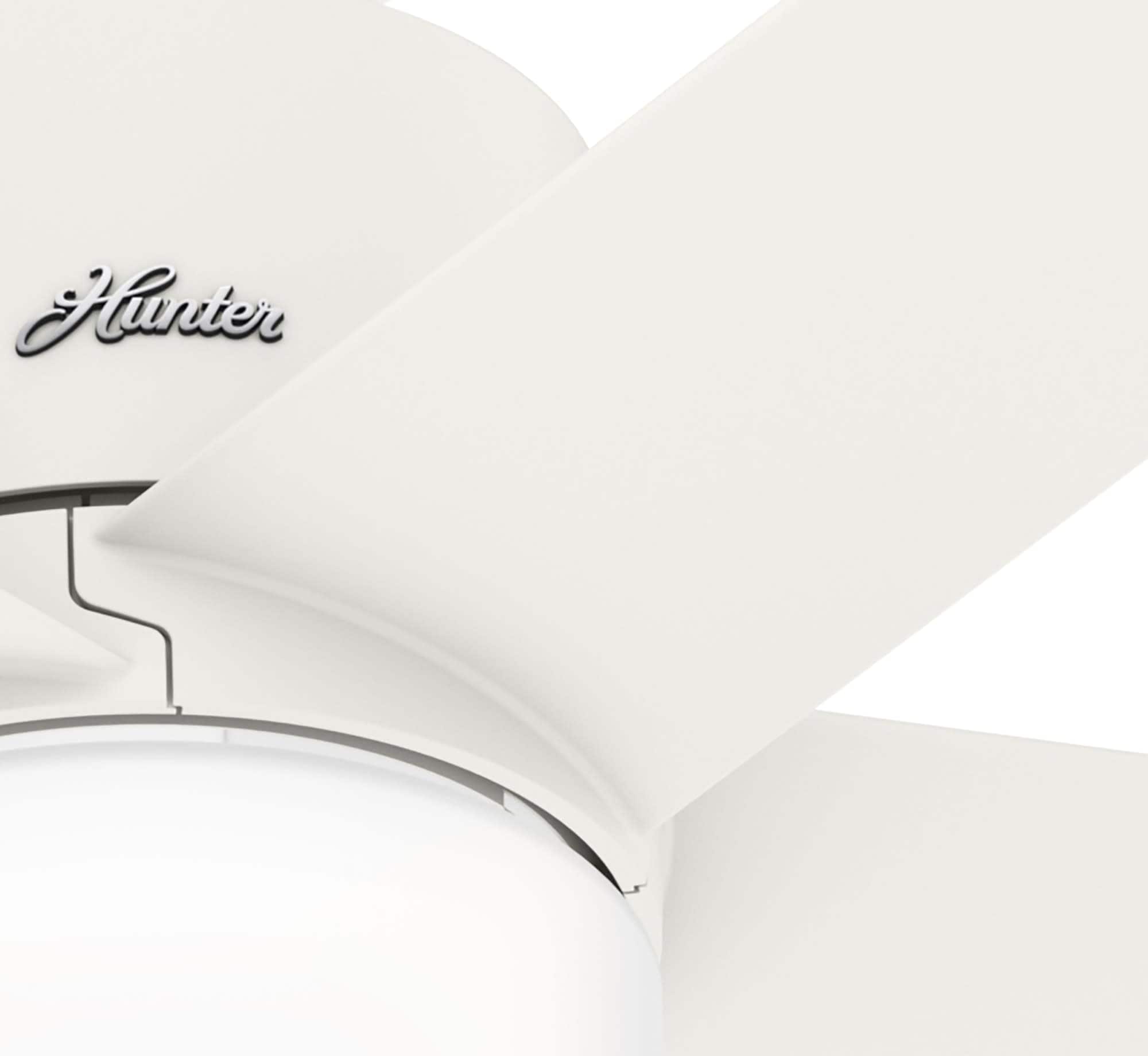 Hunter 51197 Ceiling-Fans - View #9