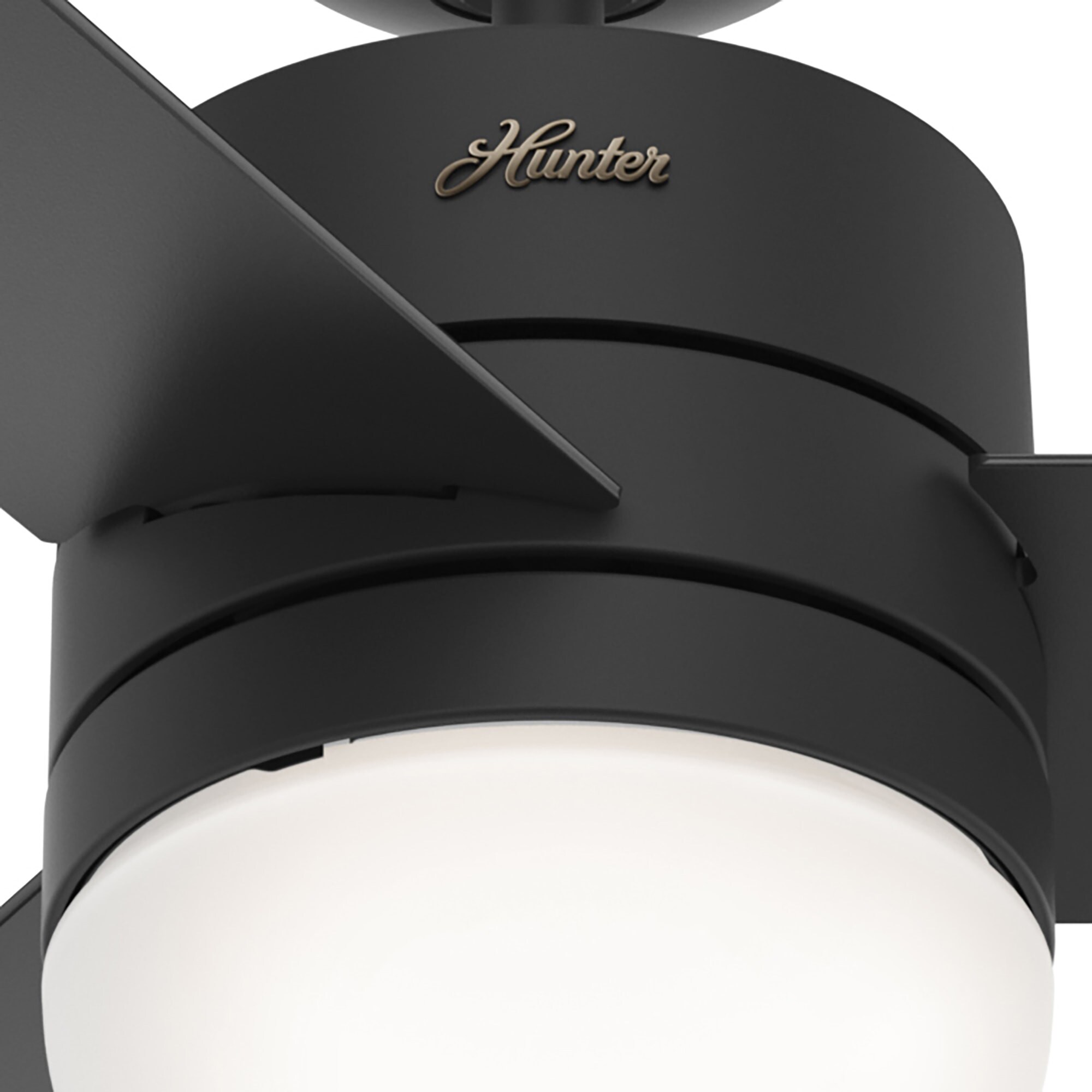 Hunter 51125 Ceiling-Fans - View #8