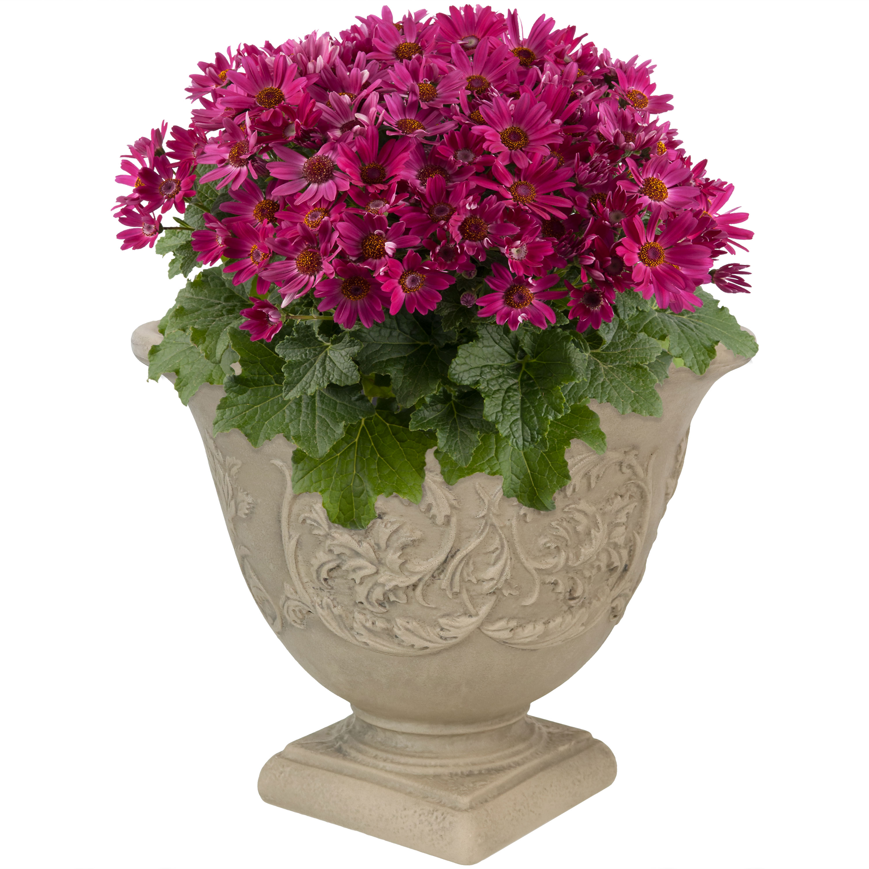 Sunnydaze Decor DG-783 Round 6.0-in W x 11-in H x 6-in D Off-white Resin Indoor/Outdoor Planter