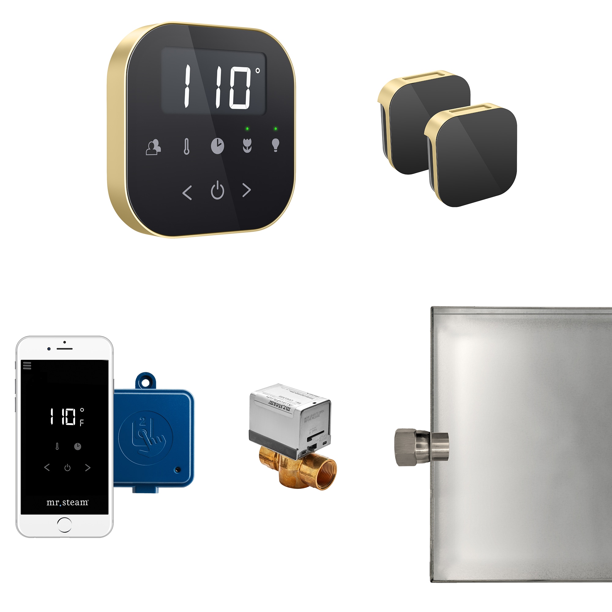 Mr. Steam ABUTLERXB-SB 120-Watts Black Satin Brass Steam generator control kit