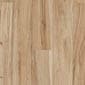 Boyd Park Maple