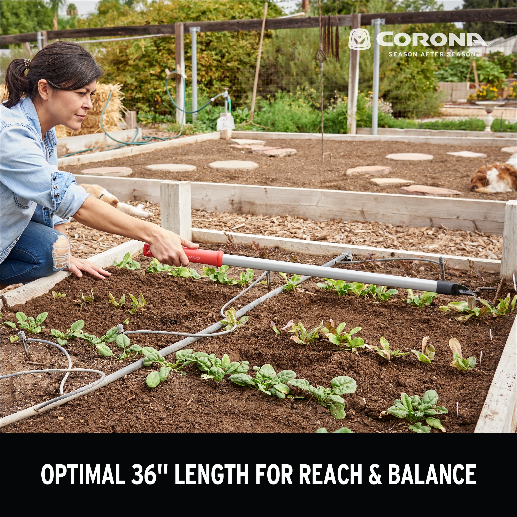 Corona GT 3234 Garden-Rakes - View #4
