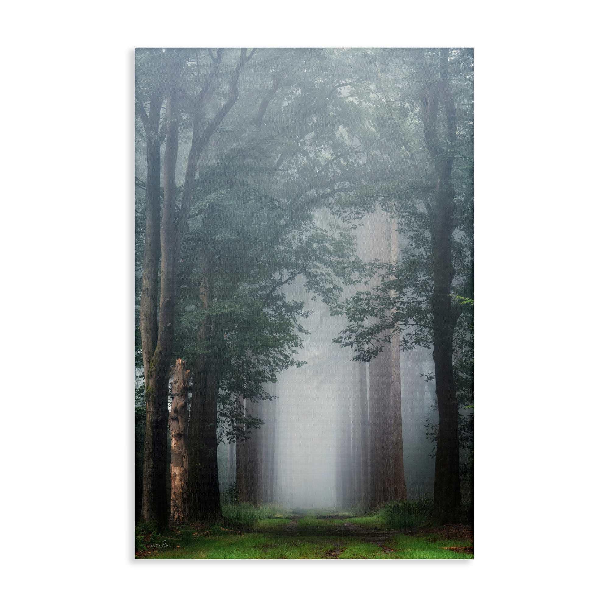 Stupell Industries BT-590-CN-16X24 Calm Forest Clearing Canvas design by Martin Podt