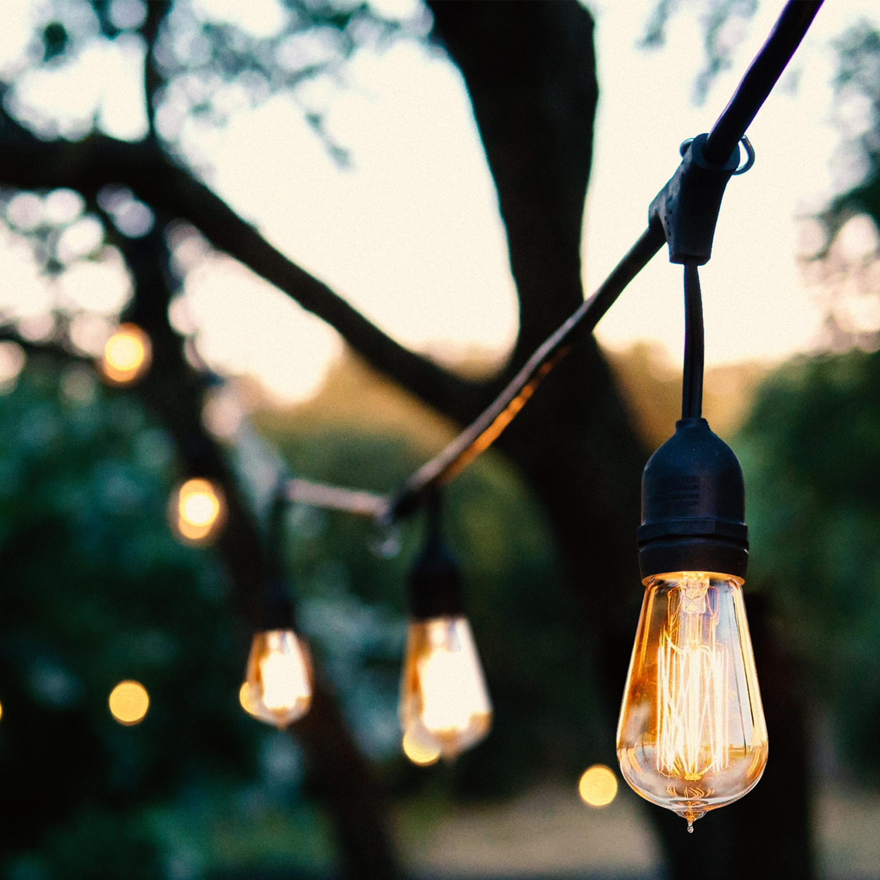 Brightech 48ft Black Outdoor Incandescent Globe String Lights