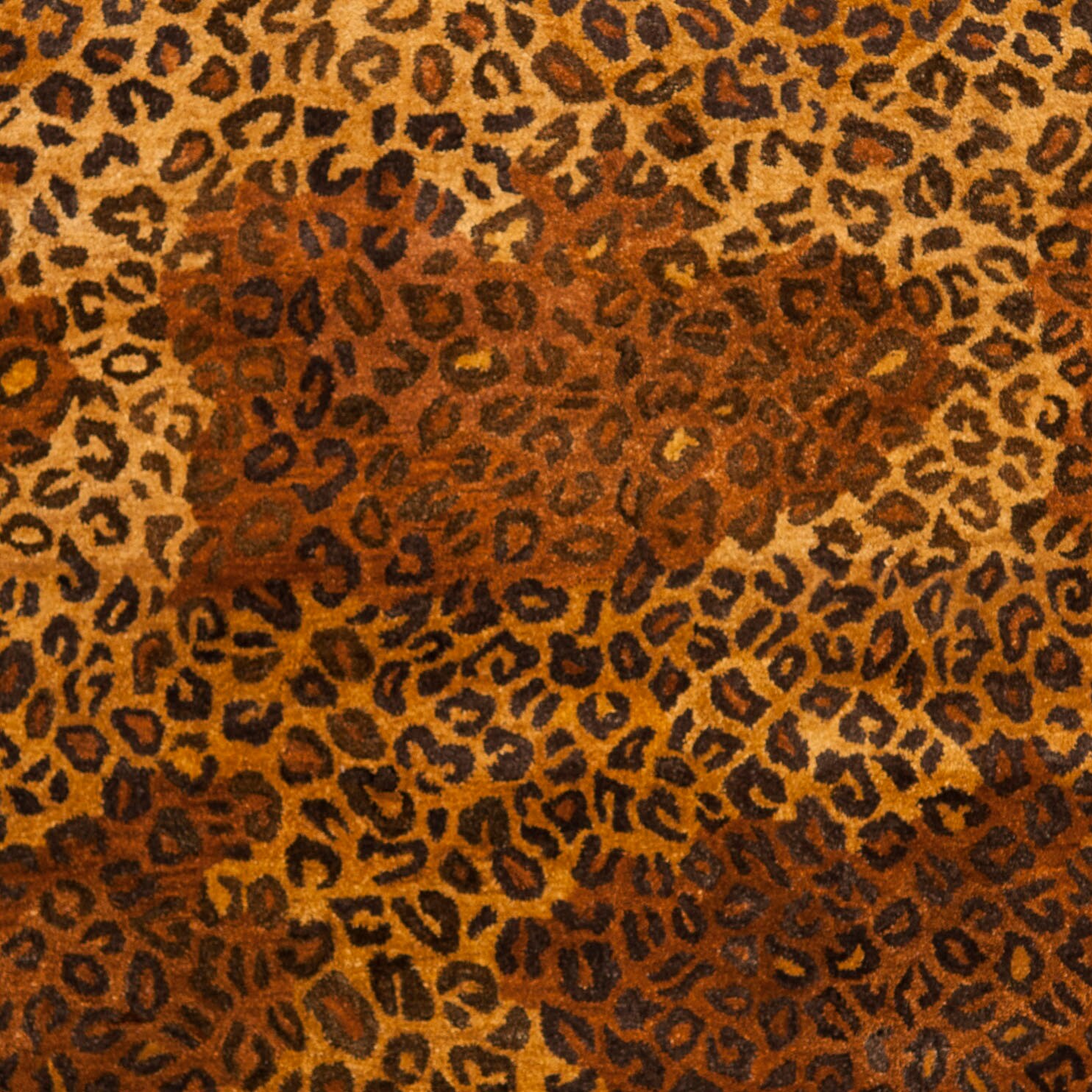 Safavieh BRG193A-6 rugs - View #5