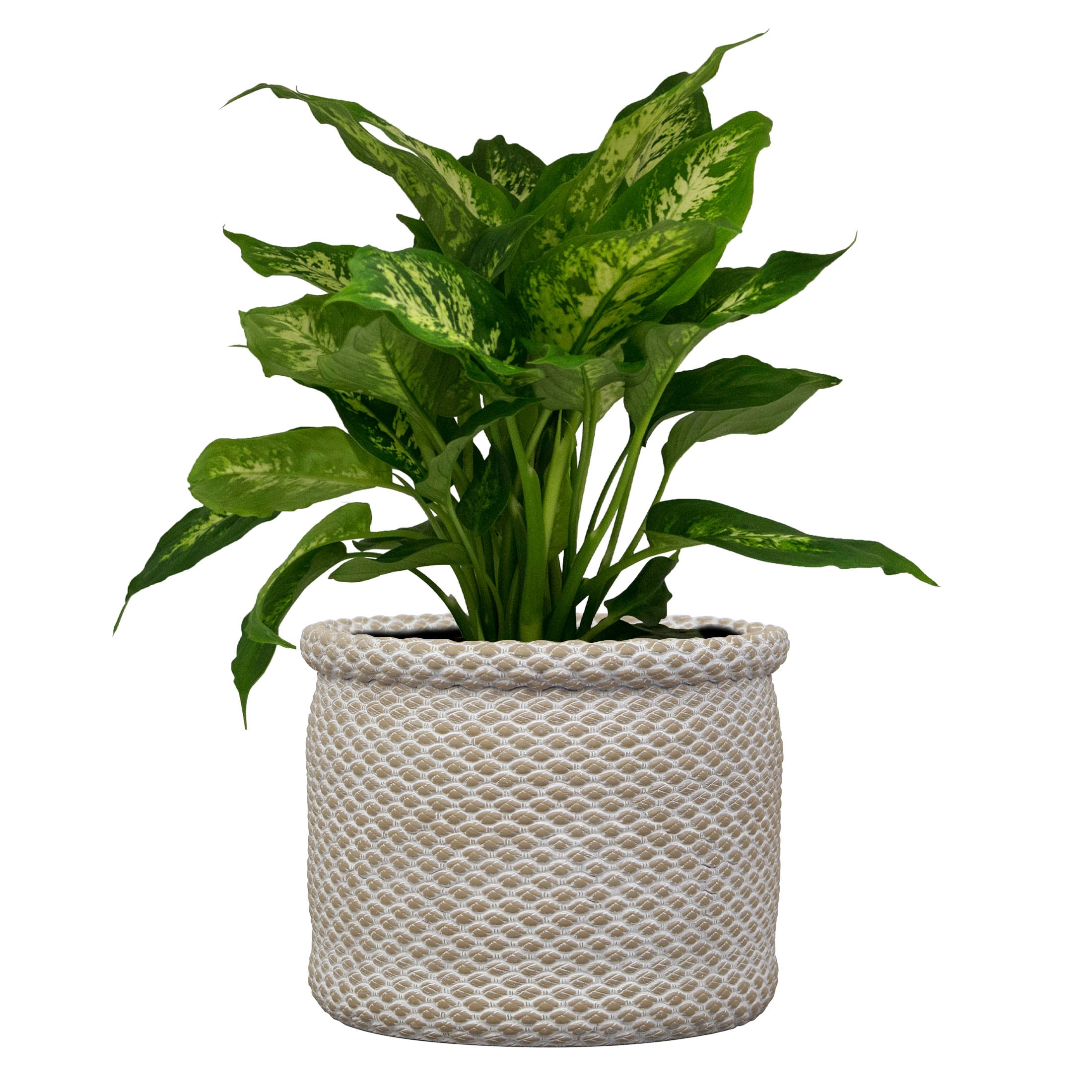 allen + roth CM10167N-10H Planter-Window-Box - View #3
