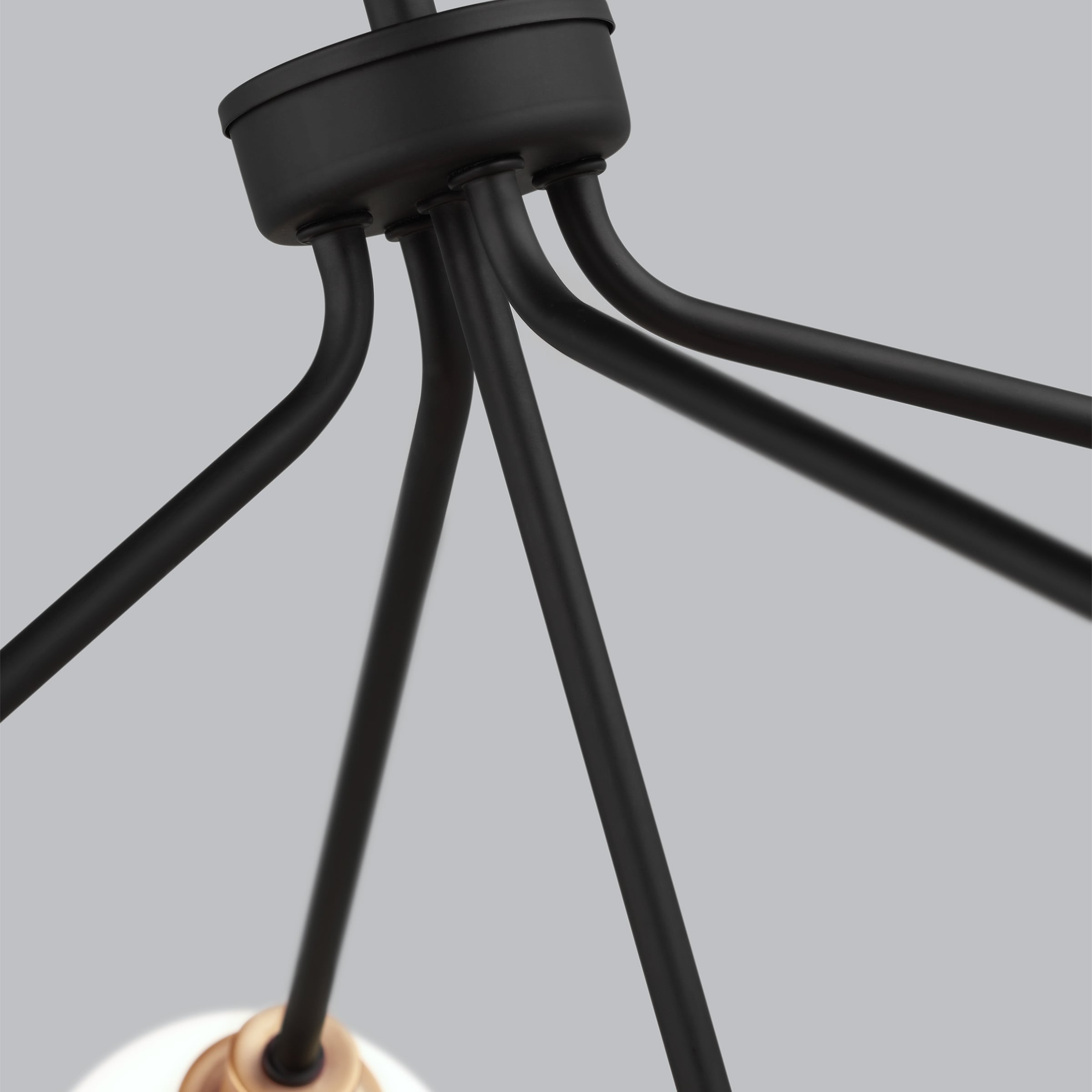 Andrea 5-Light Black and Brass Sputnik Chandelier with Frosted Glass Shades