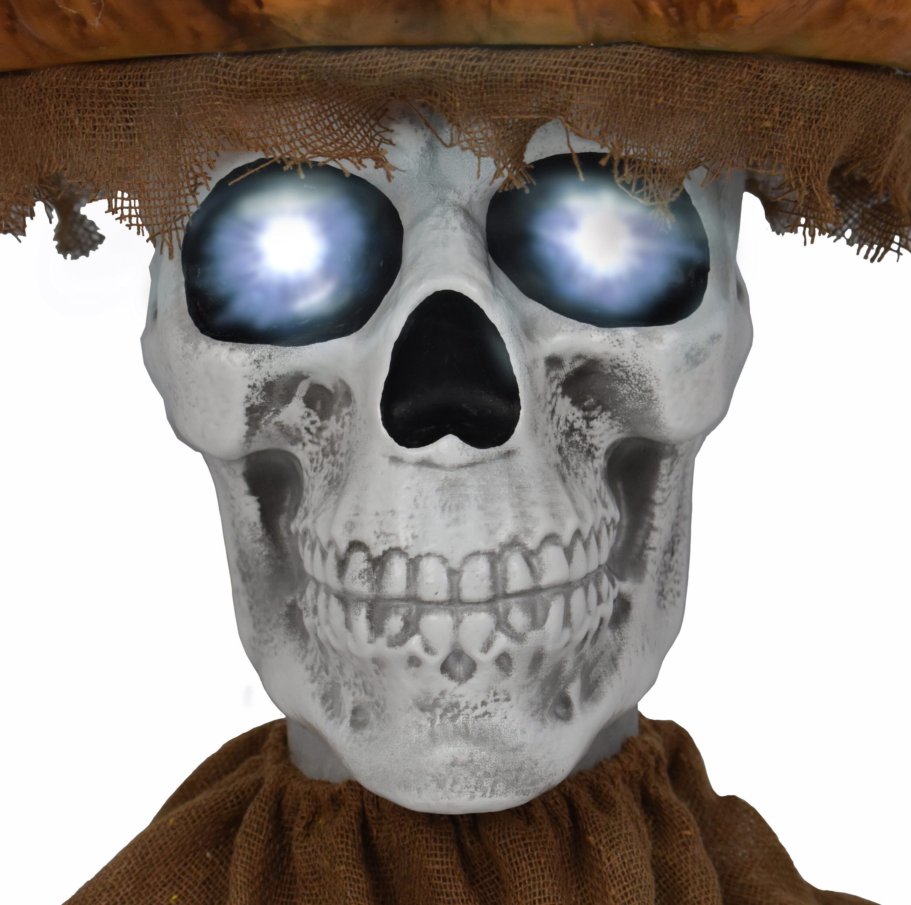 Haunted Living 59523 Halloween-Animatronics - View #4