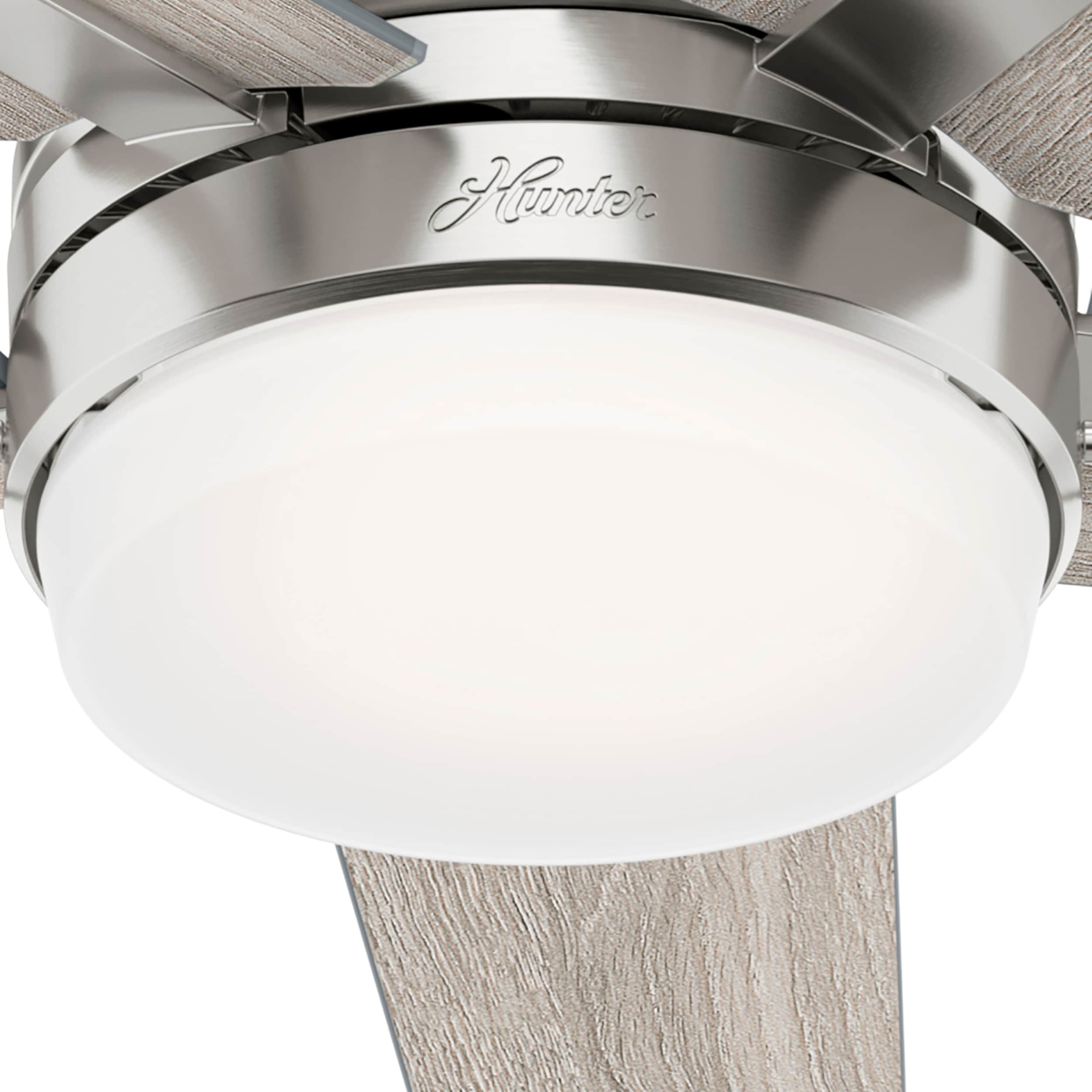Hunter 51839 Ceiling-Fans - View #6