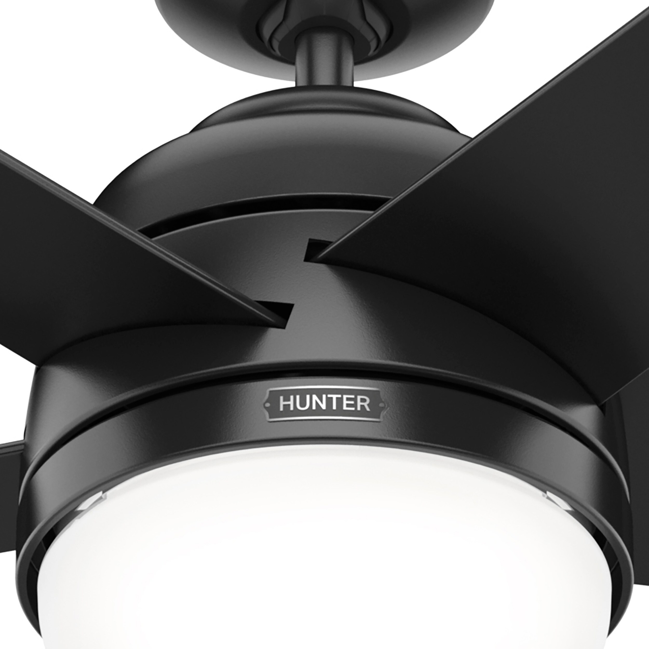 Hunter 51932 Ceiling-Fans - View #17