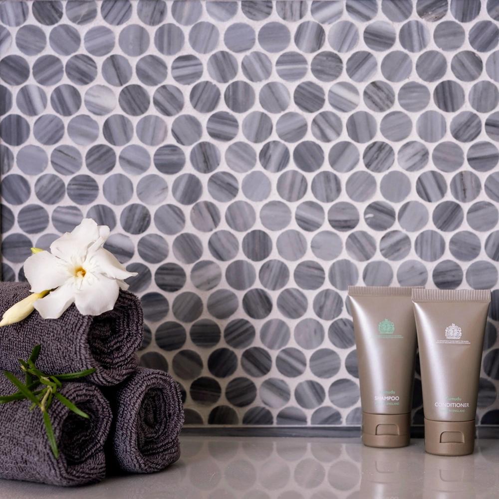 Apollo Tile APLSE88P02PASAMPLE Tile-Samples - View #4