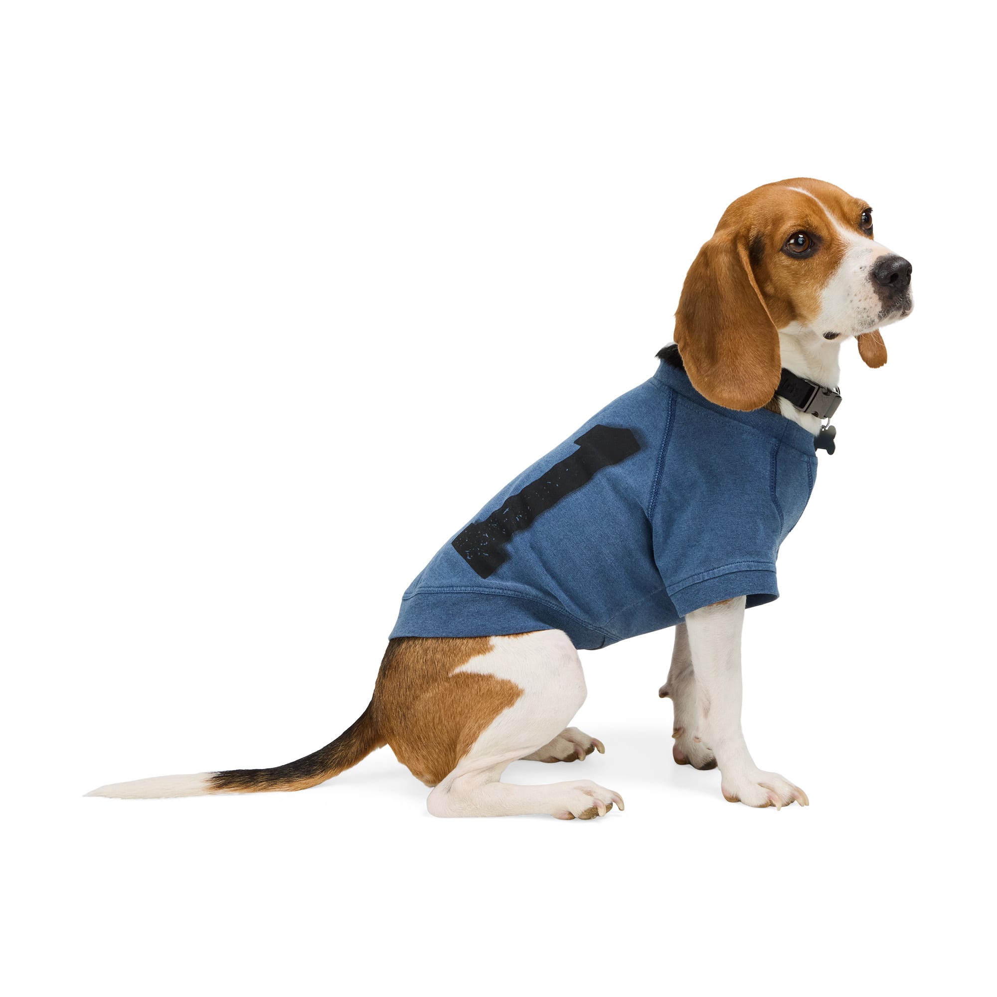 Reddy PTY-24030512MD Dog-Clothing-Acc - View #2