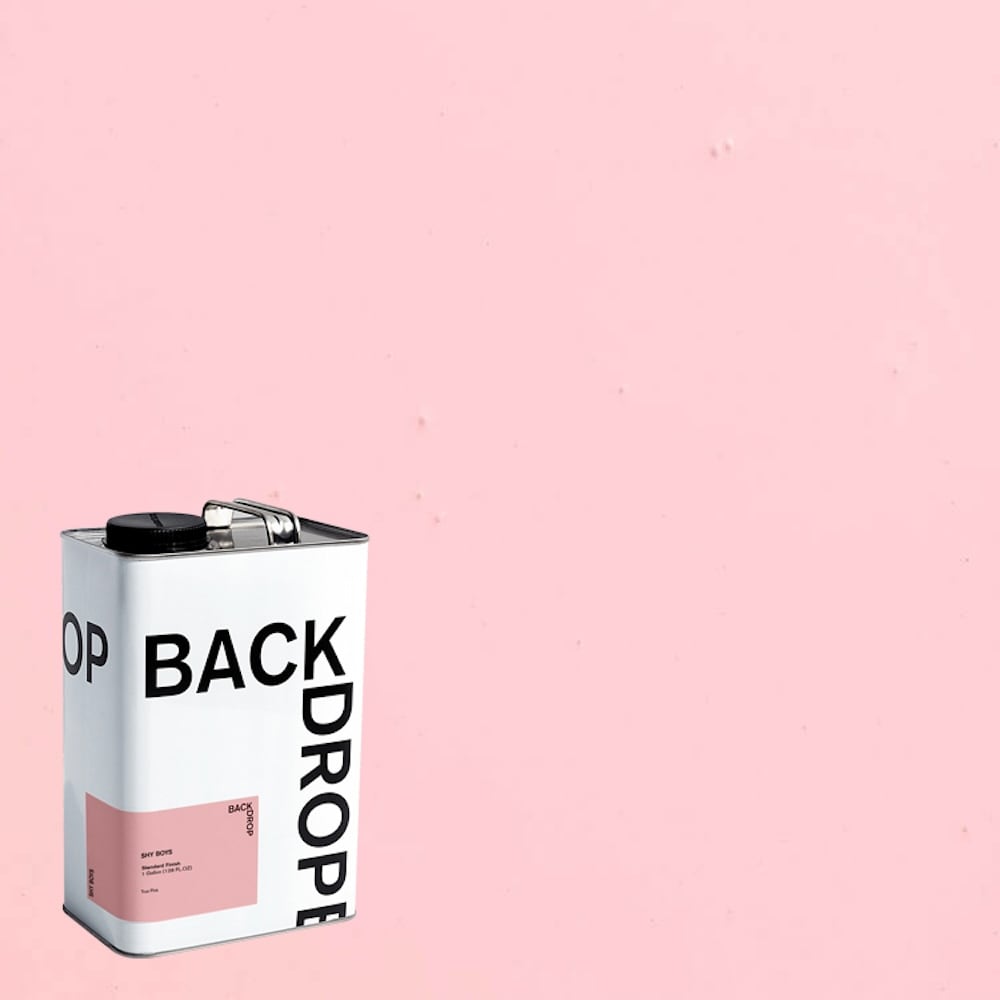 BACKDROP BD255306502 Semi-gloss SHY BOYS A true pink Enamel ( Half-gallon )
