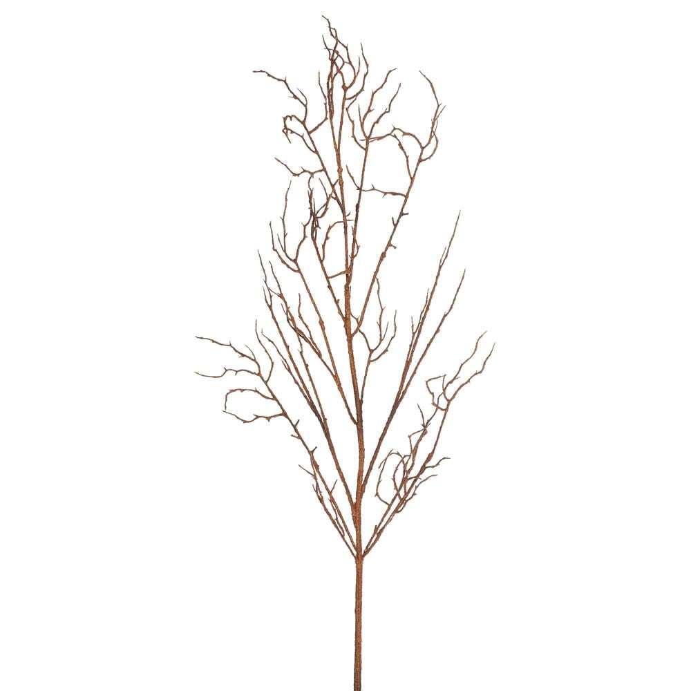 Vickerman FK172802 48-in Brown Indoor Preserved Wood Artificial Plant