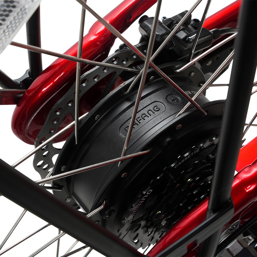 Young Electric 12801005RED bikes - View #8