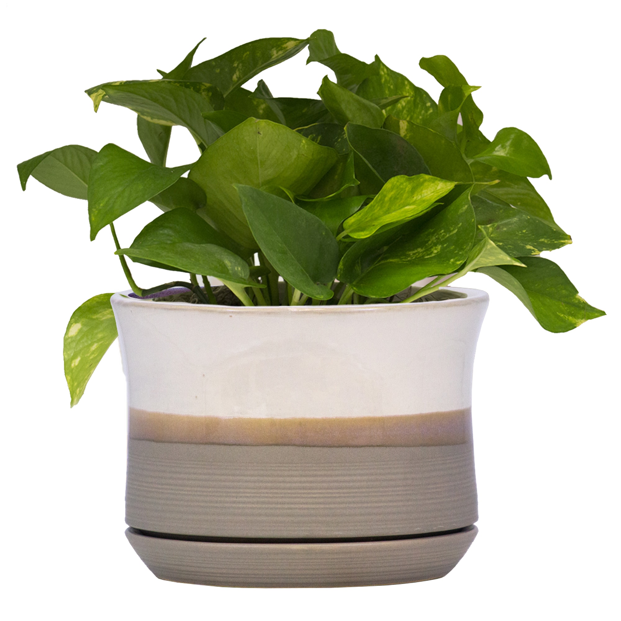 allen + roth CR01701S-08H Planter-Window-Box - View #6