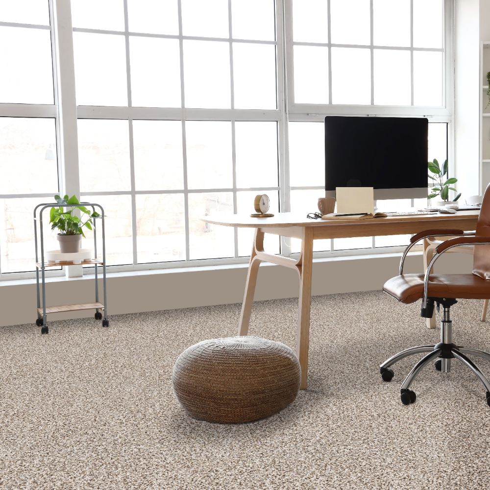 STAINMASTER SS053-L004-S0808 Carpet-Samples - View #2