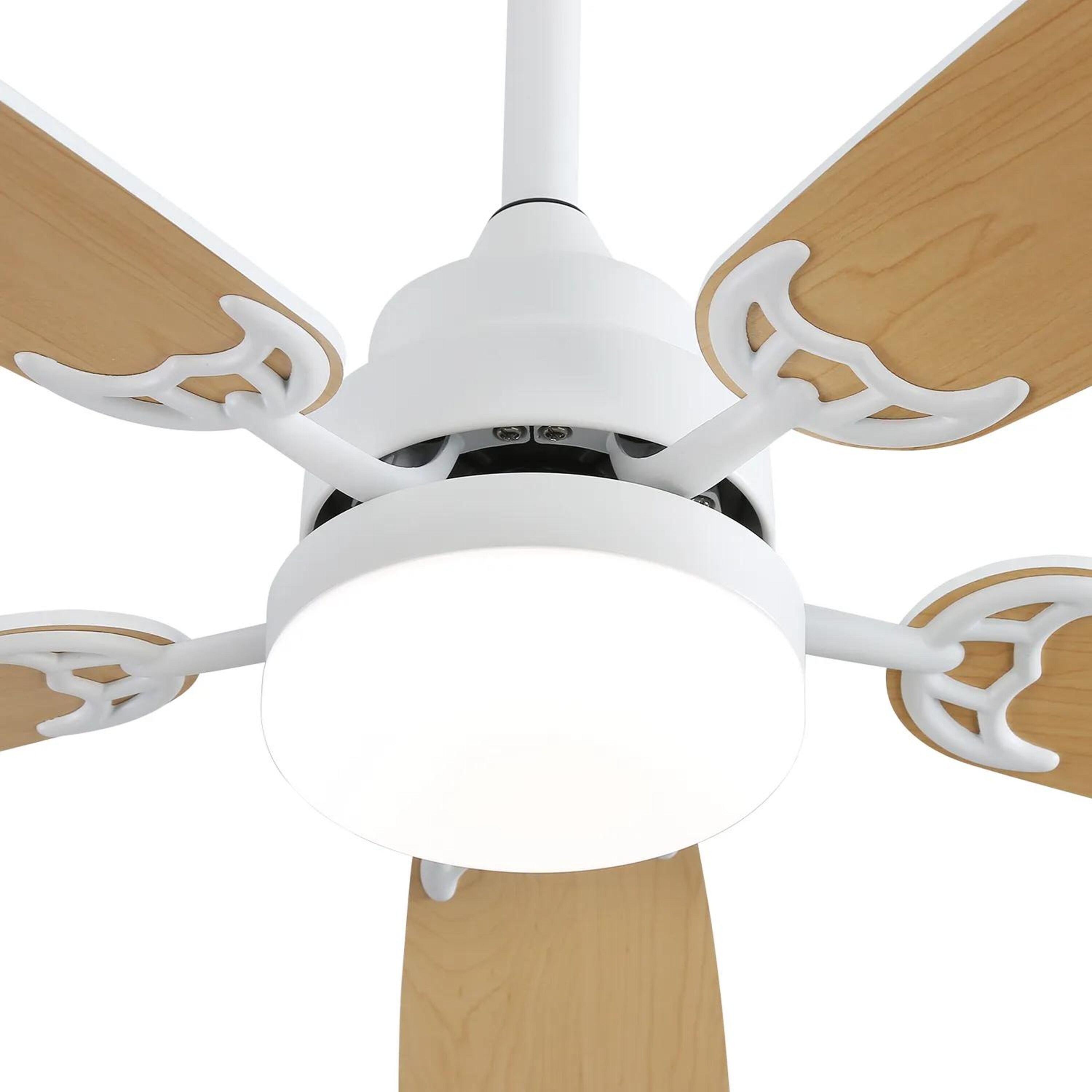 Bayfeve BFKS-46291-CF Ceiling-Fans - View #12