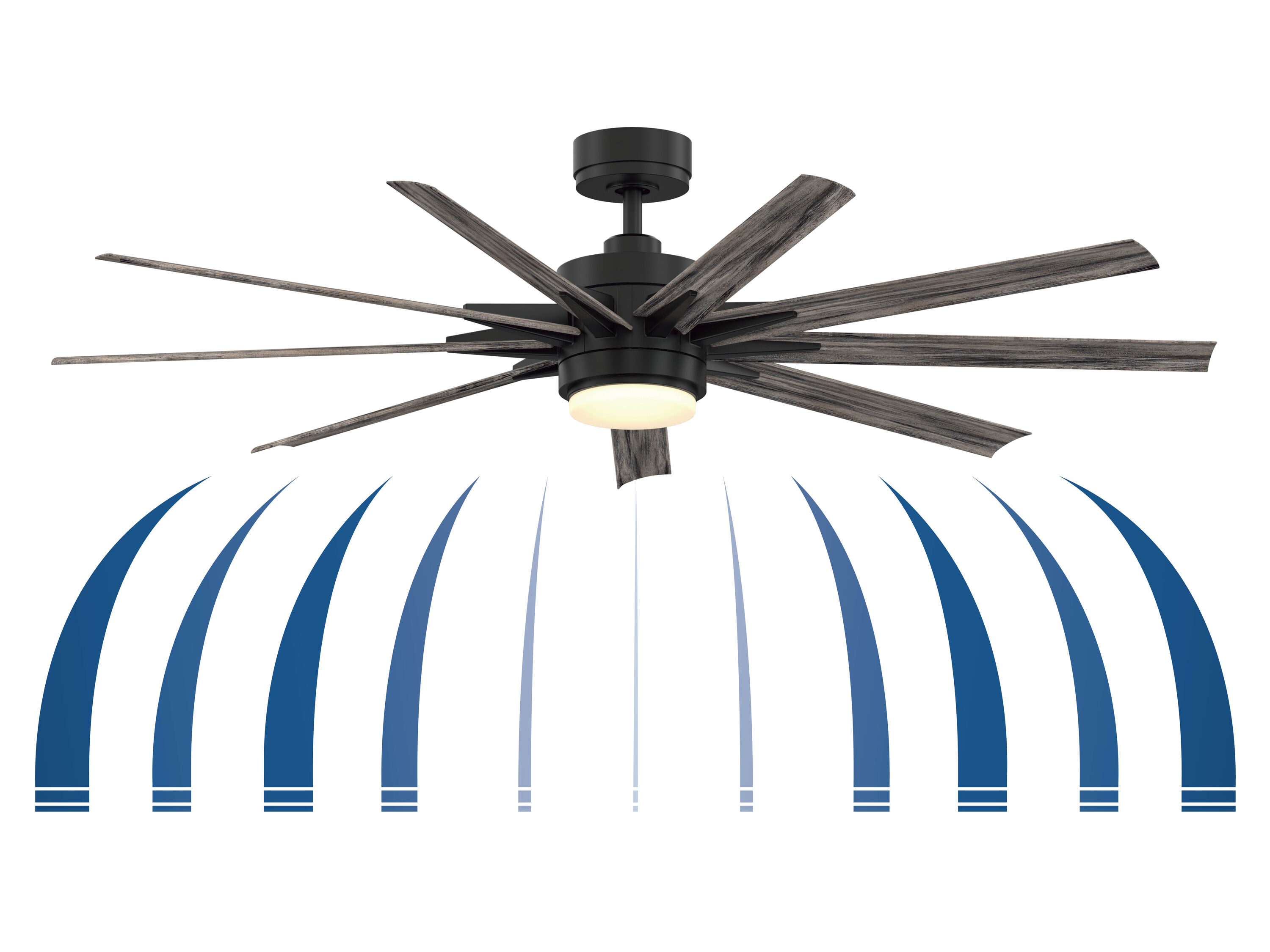 Fanimation FPD8152BLW-64WEW Ceiling-Fans - View #14